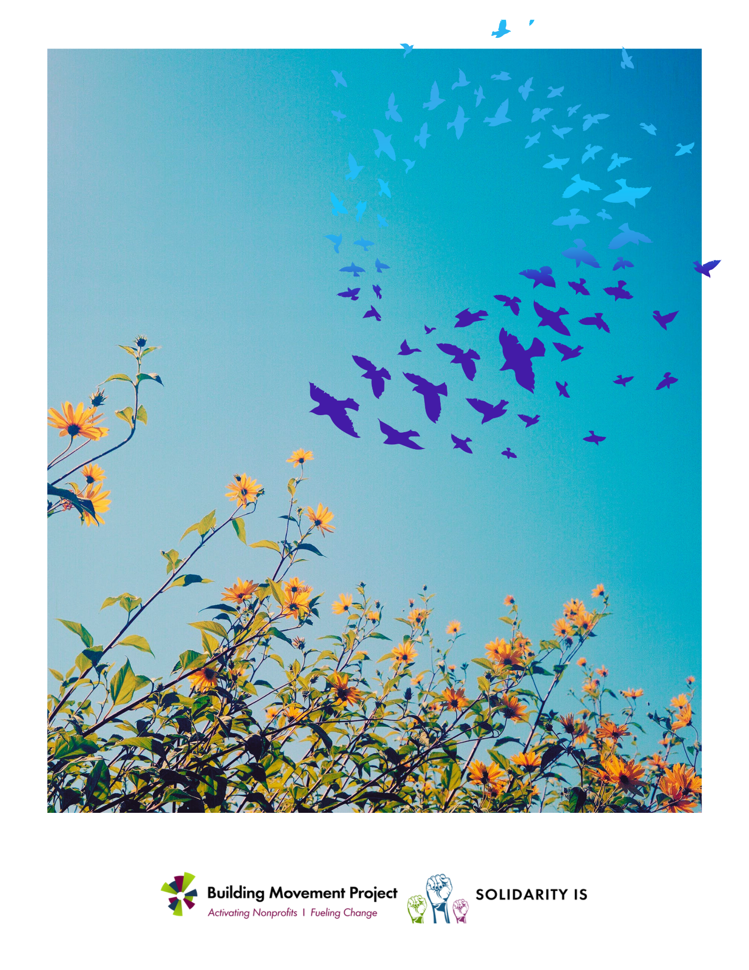 A photograph of yellow wildflowers against a blue sky, with an illustration of a murmuration of birds in shades of dark purple and light blue.