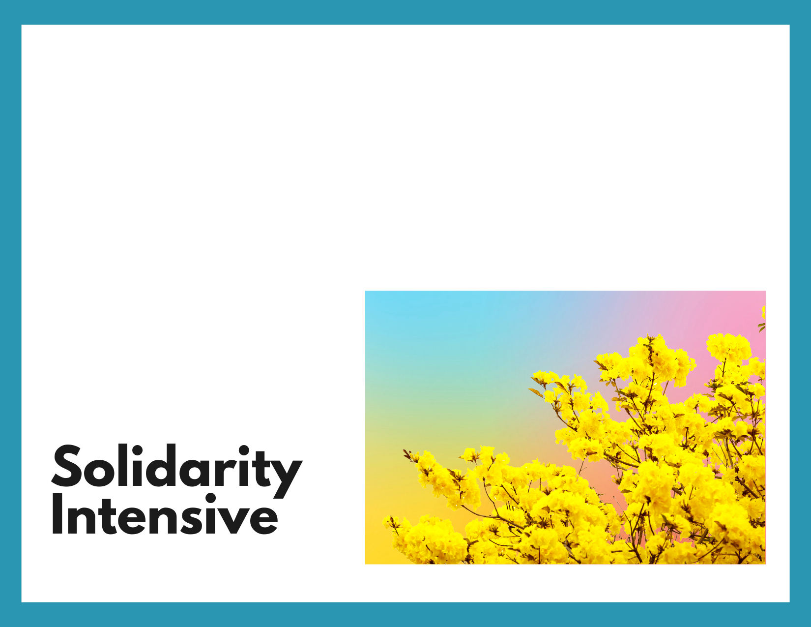 A blue border around a white box. There is a bright yellow flowering tree on a background of ombre blue and pink. Black text that reads "Solidarity Intensive"