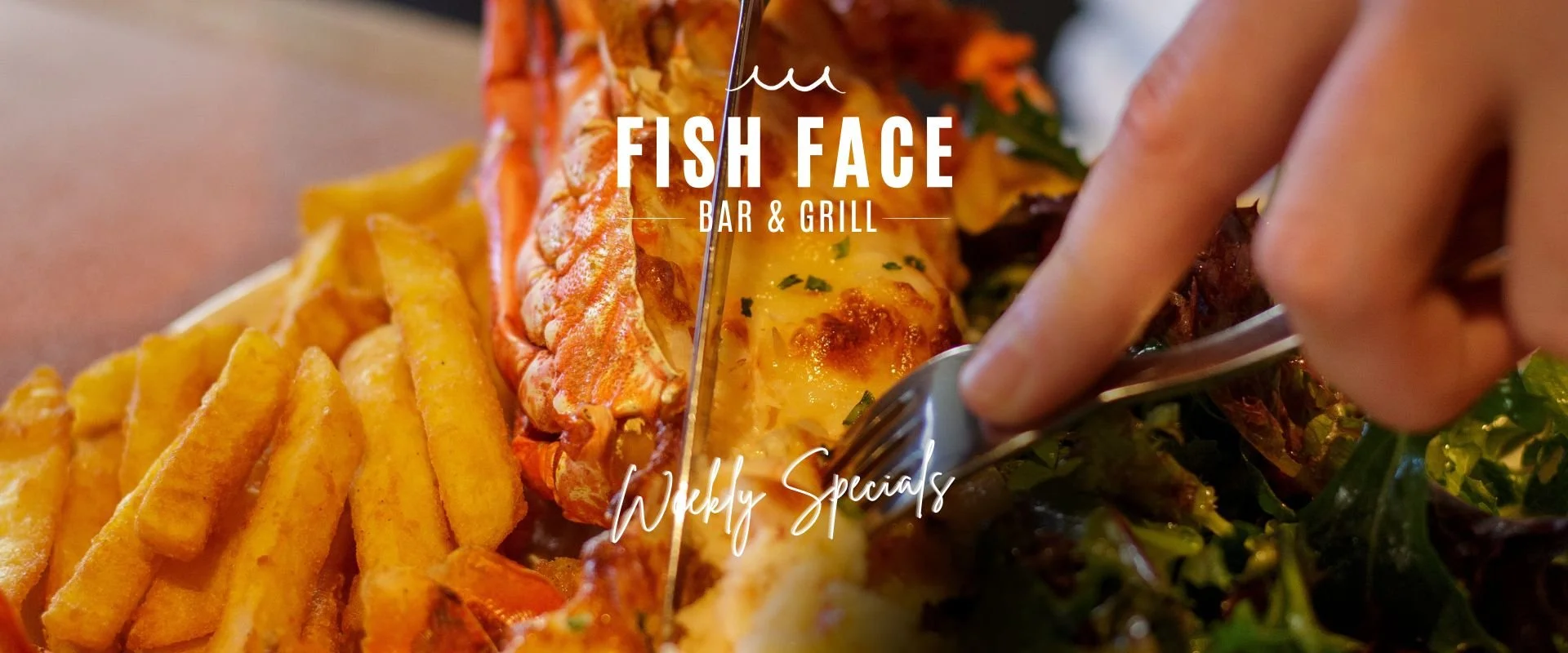 Fish Face Menu Fish Face Bar & Grill Weekly Specials — BALGOWLAH VILLAGE