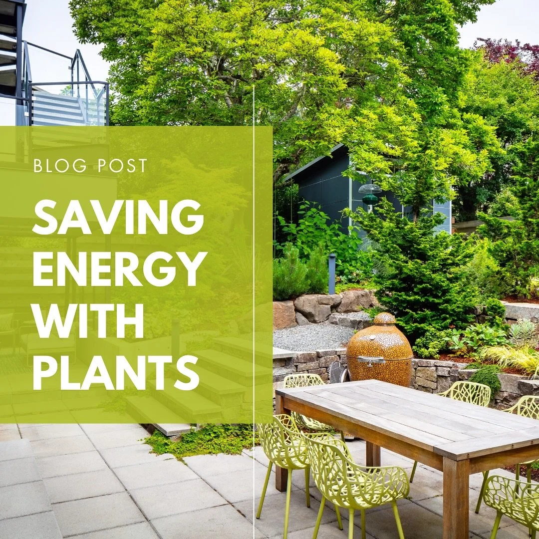 Investing in energy efficiency goes beyond insulation and airtight construction, your landscape can play a huge role too! 🌿

Thoughtful placement of trees, shrubs, and other plants can naturally support passive heating and cooling. Helping reduce en