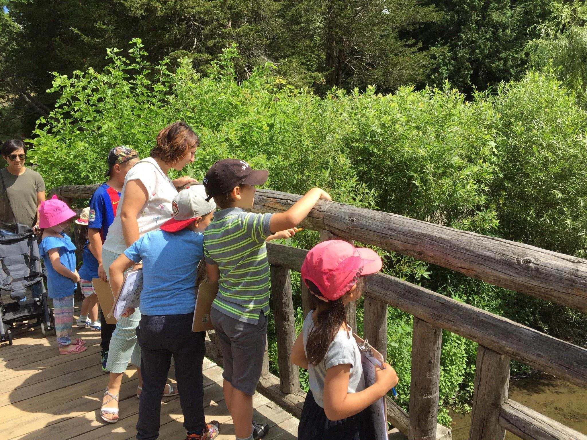Group of children and adults on a wooden bridge observing nature.