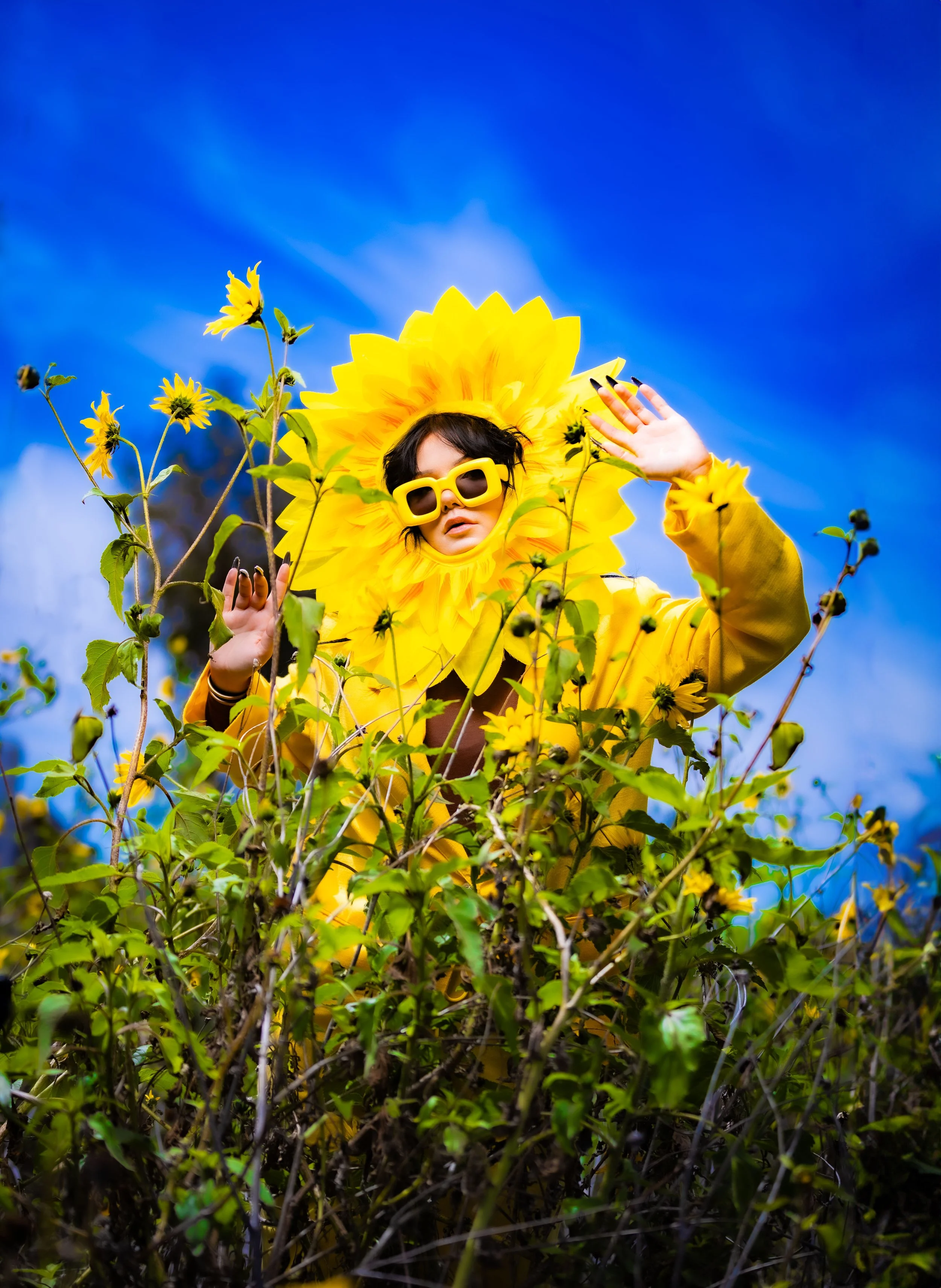 sunflower-2922.jpeg