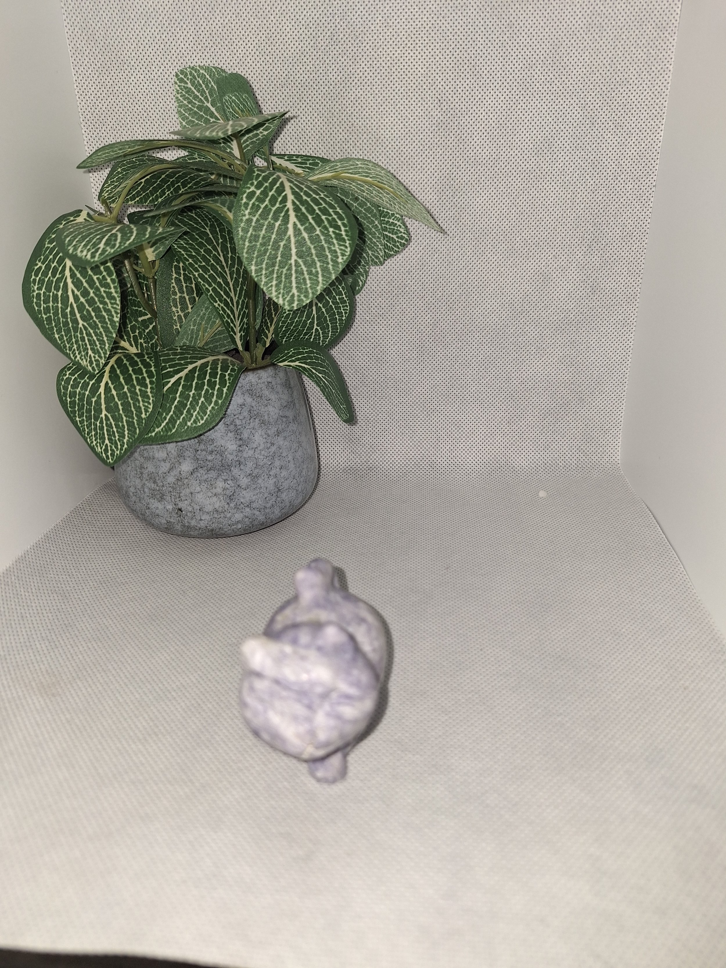 processed_ef0619eb28894ea29a86d69c3d45f4a7.jpeg