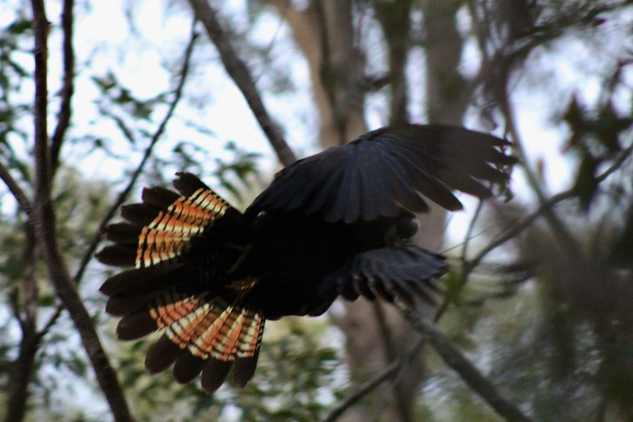 Hero shots glossy.jpg