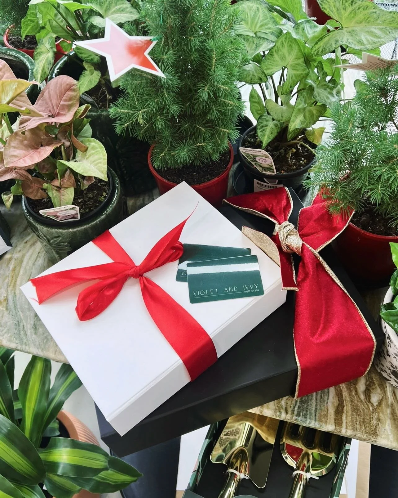 It&rsquo;s gifting season &amp; we&rsquo;ve done the hard work so that you don&rsquo;t have to! 🎁💫
Gift cards + curated hampers = Christmas sorted 🎄✨

#christmasgifting #giftideas #giftcards #christmashampers #curatedgifts #shopsmallau #australian