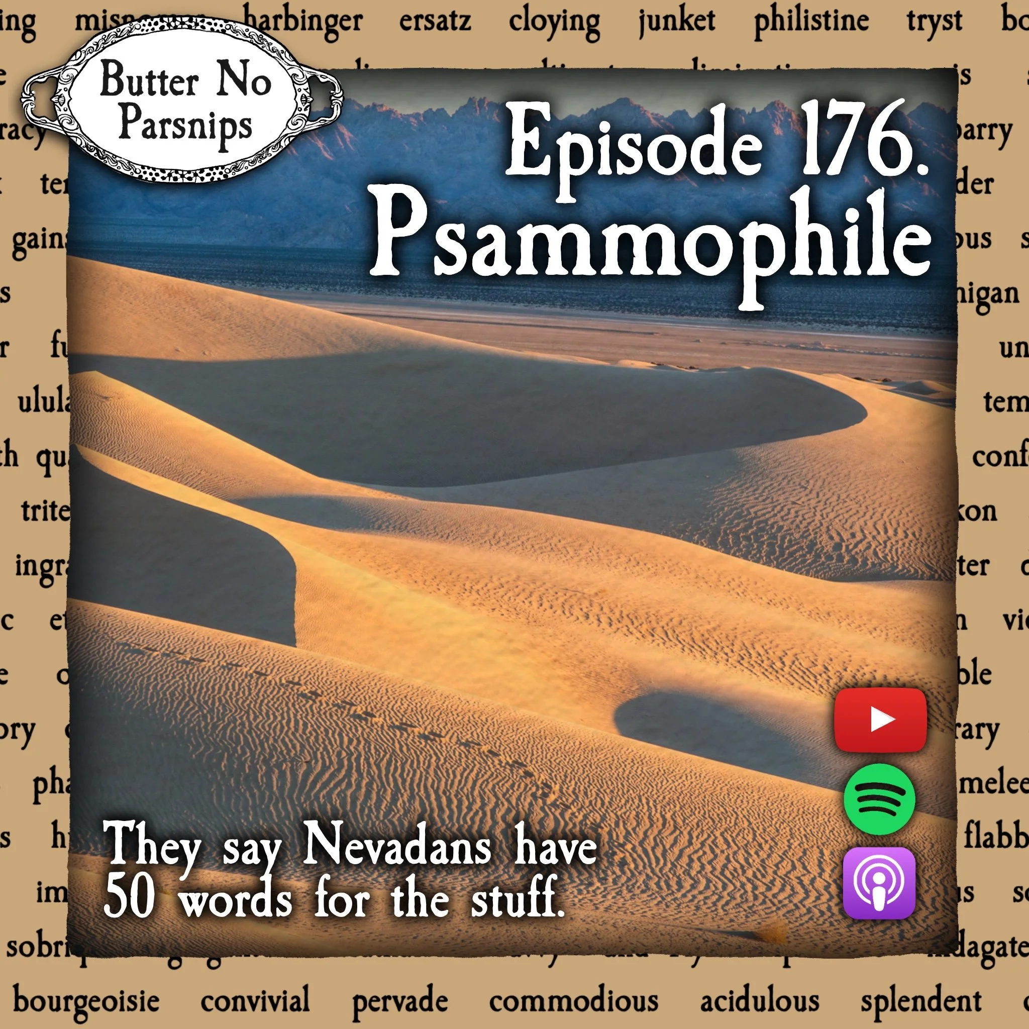 176. Psammophile: A Beach Bum Like No Other
