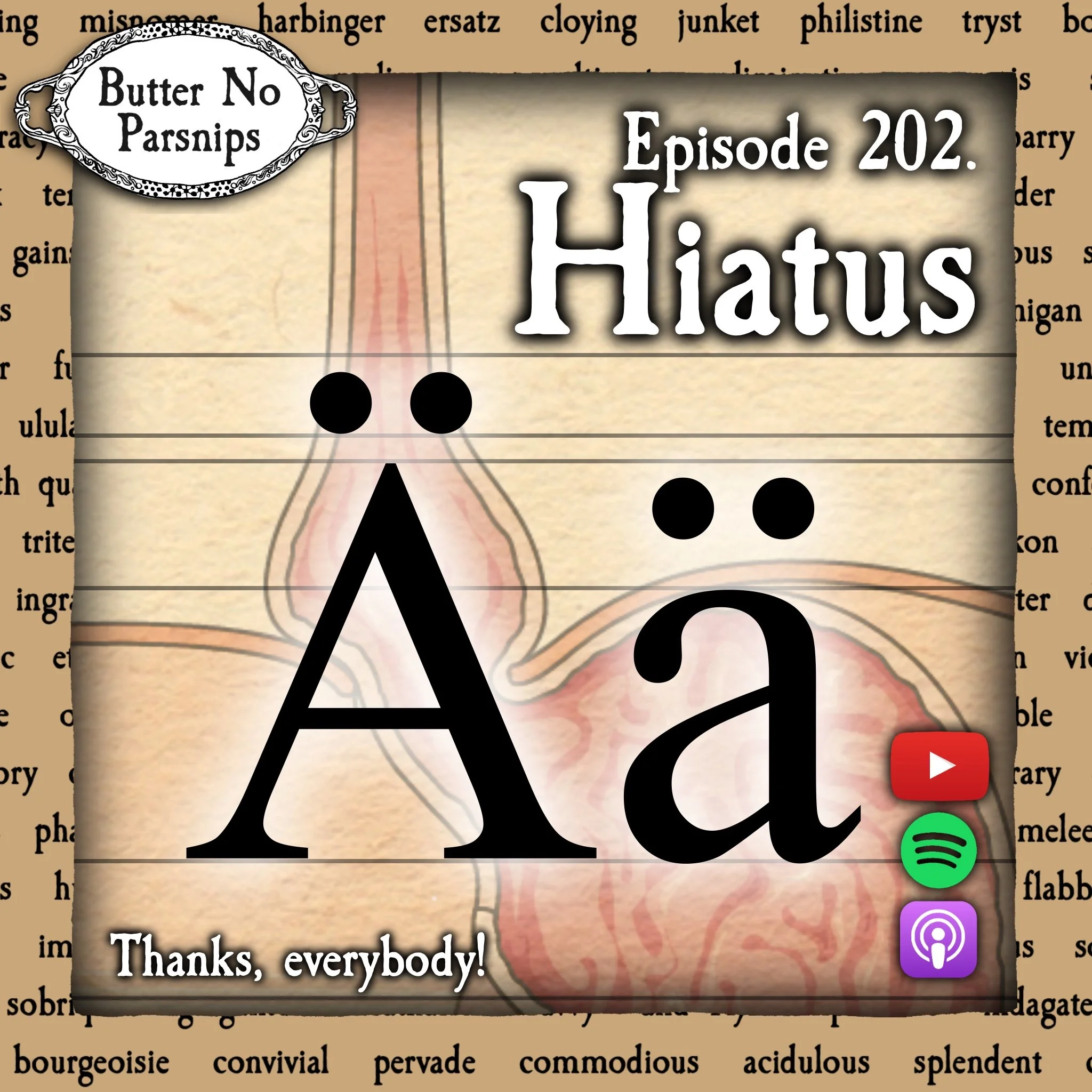202. Hiatus: There’s More Than One Kind of Break