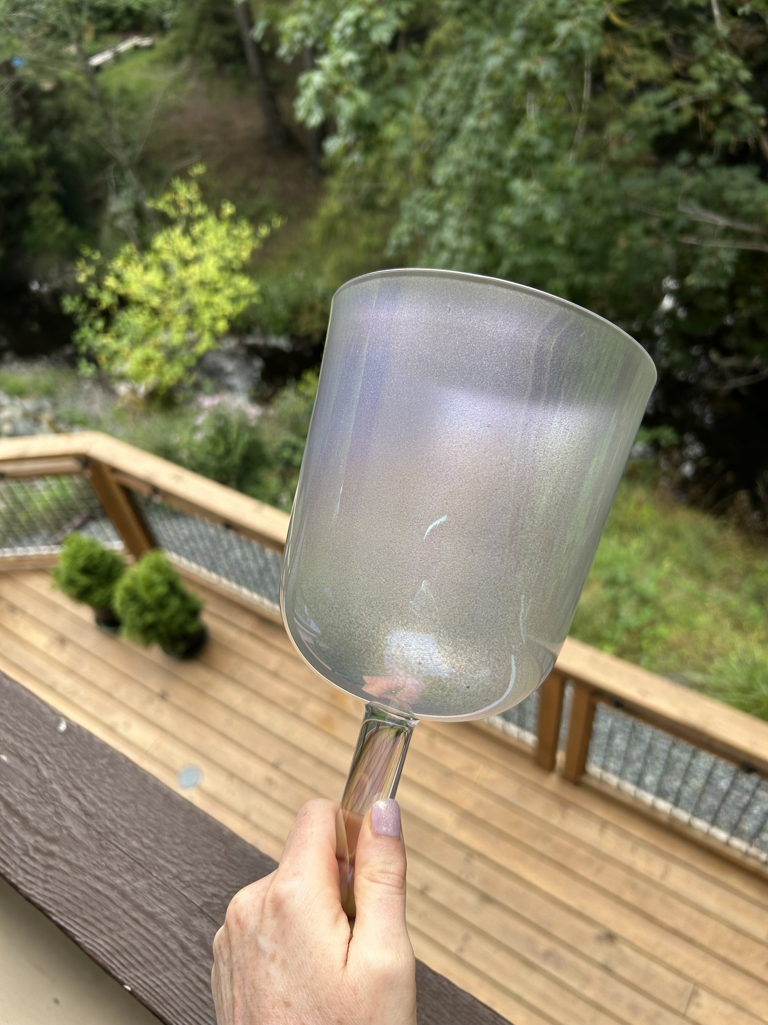 IMG_2480.jpeg