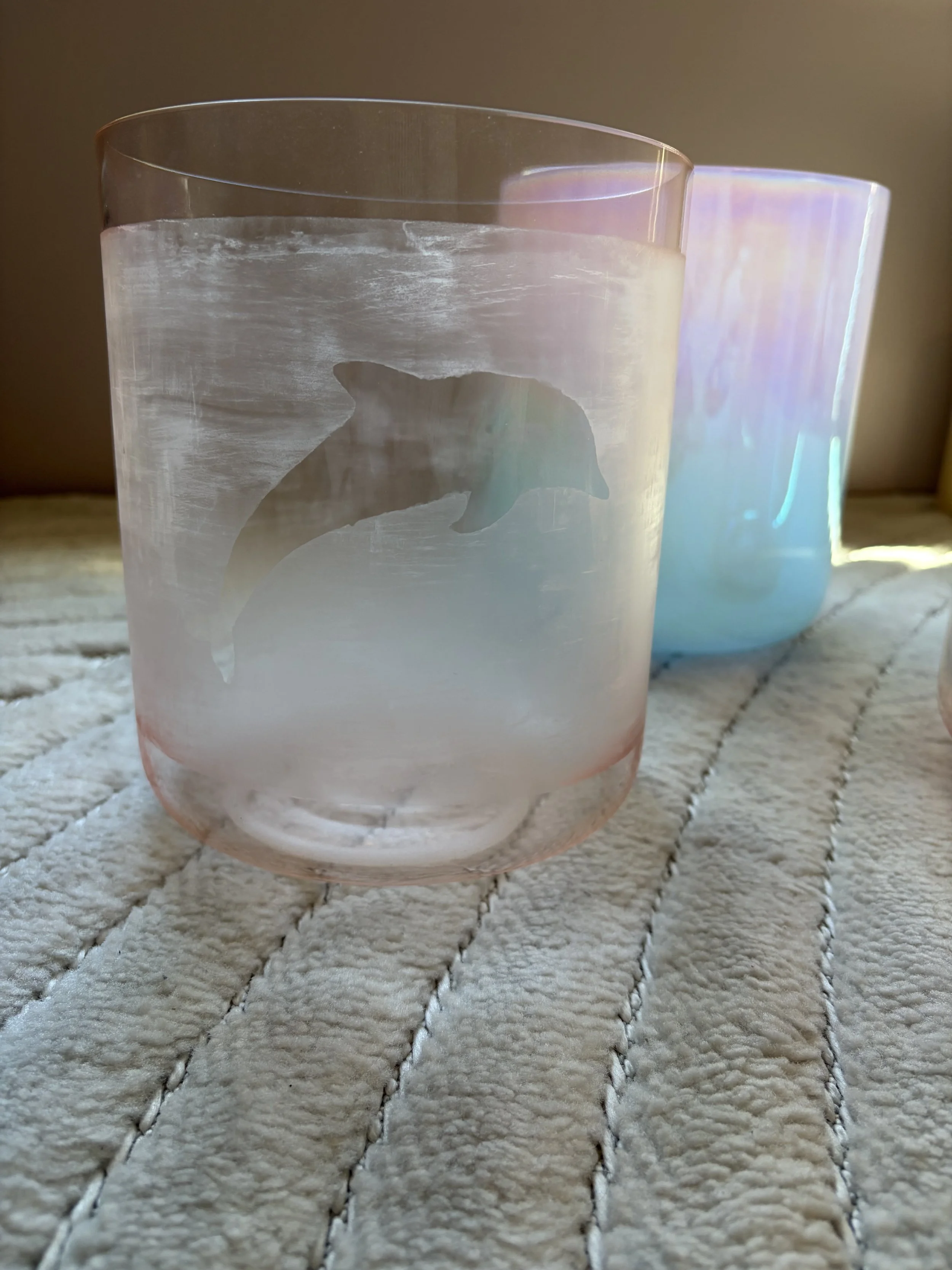 IMG_2608.jpeg