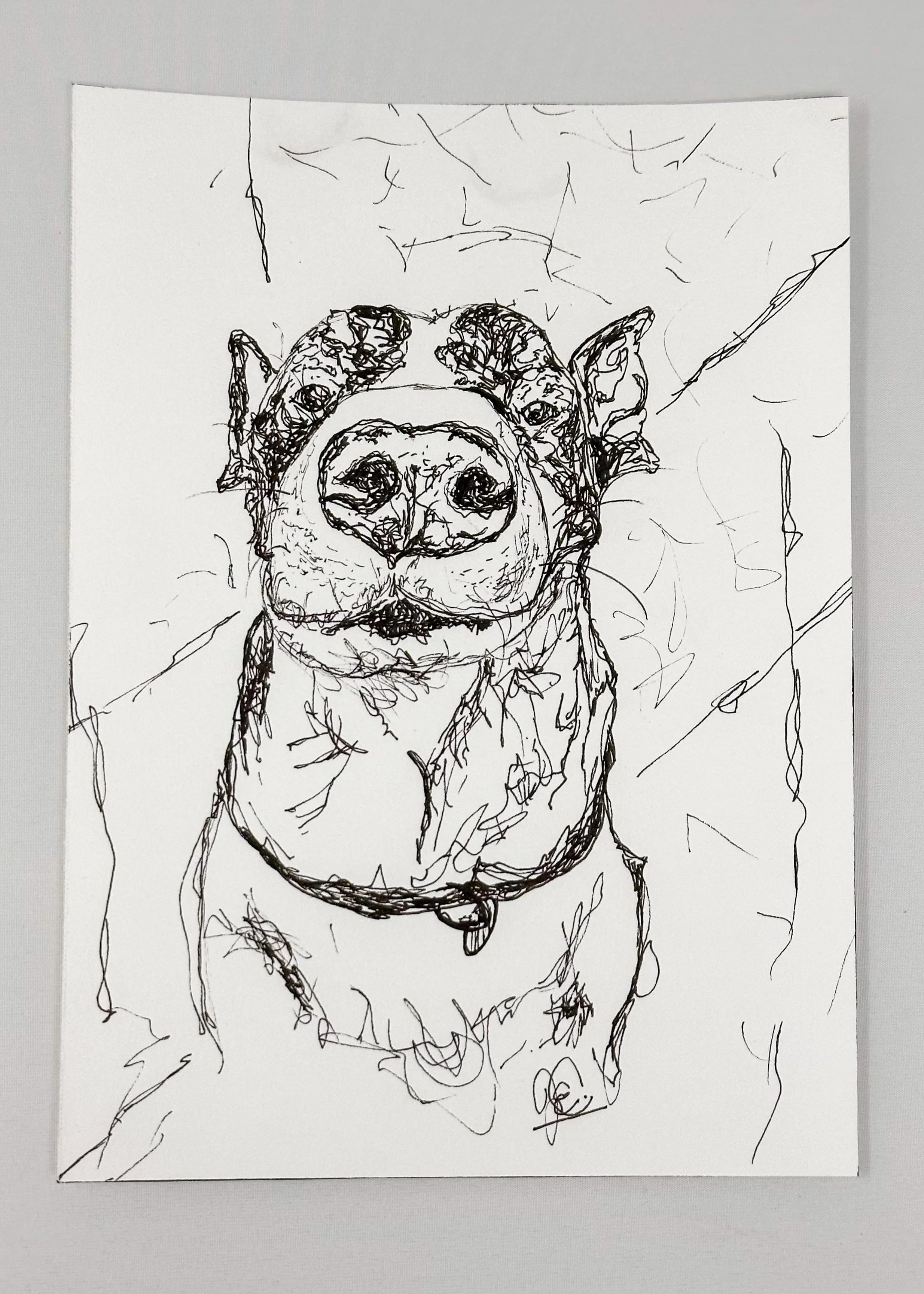 509AFF64-40C7-4285-8045-3A560DB8D129.jpeg