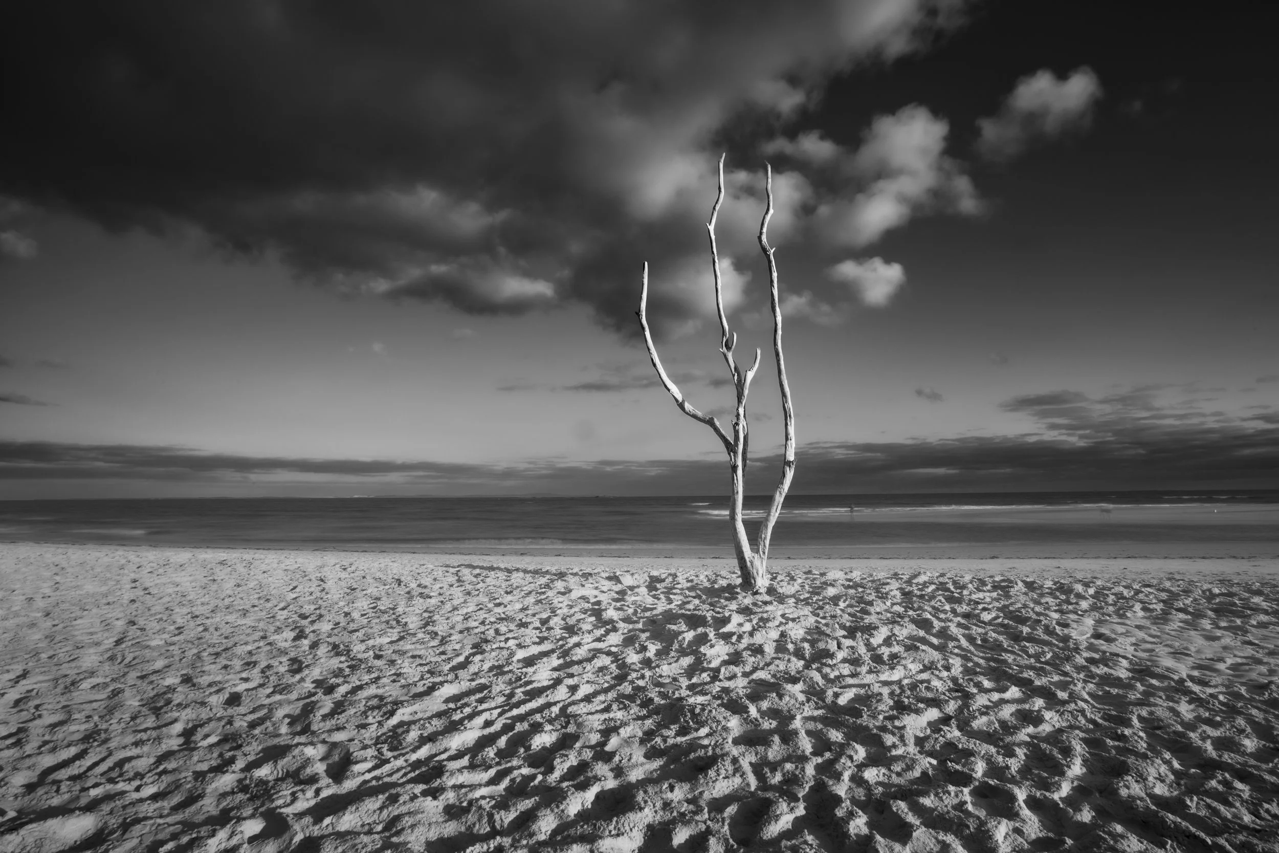 _94A6956BW.jpg