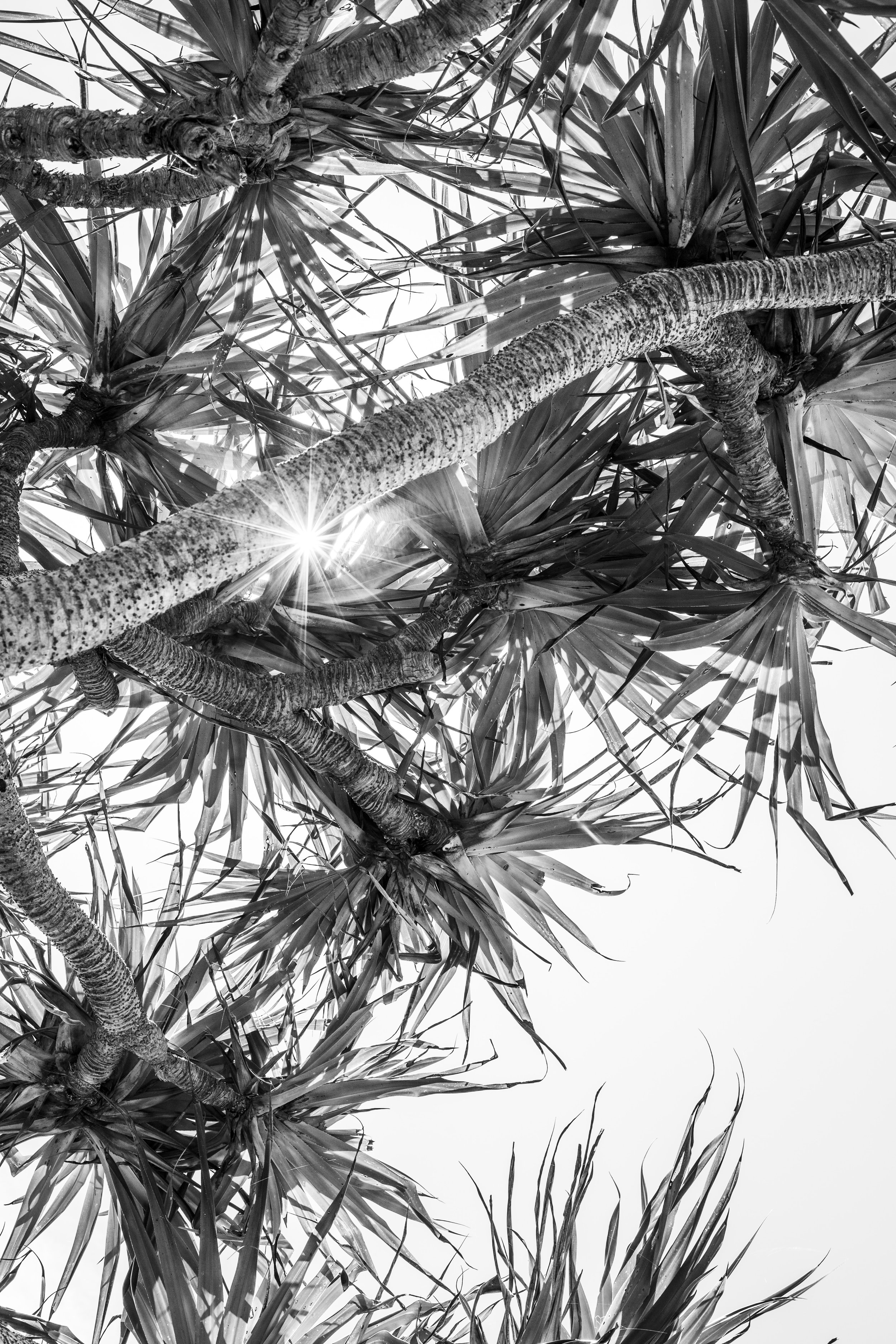0F5A7776bw.jpg