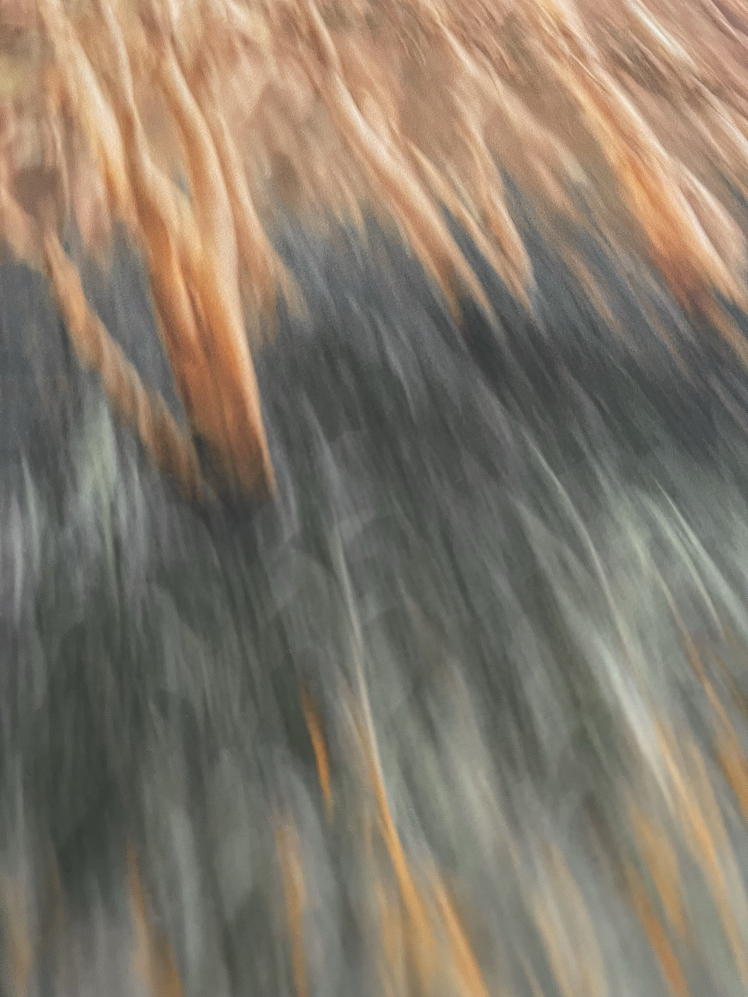 flame upclose texture.jpg