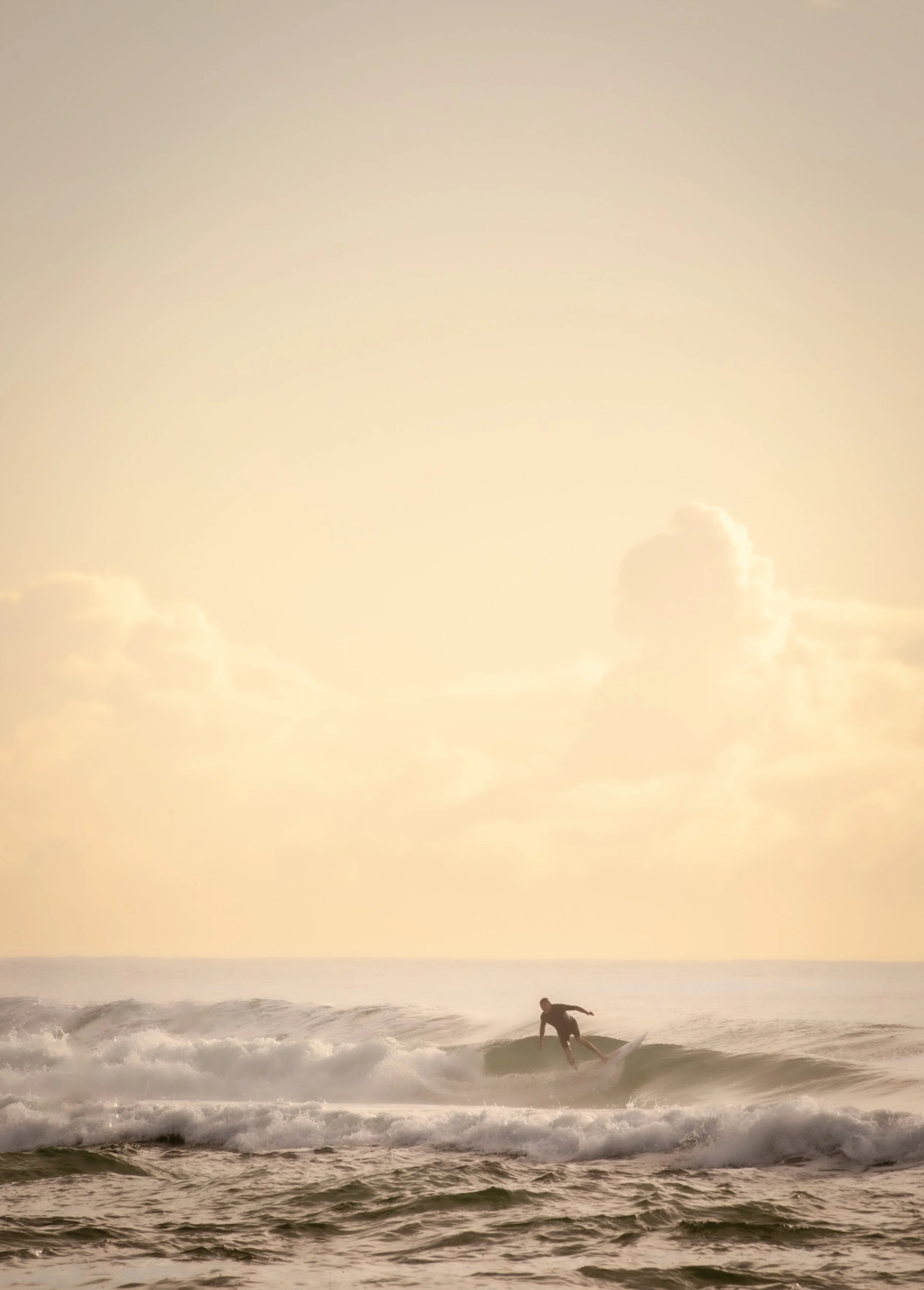 PEACHY - Surf culture art by VIKKI CALVERT