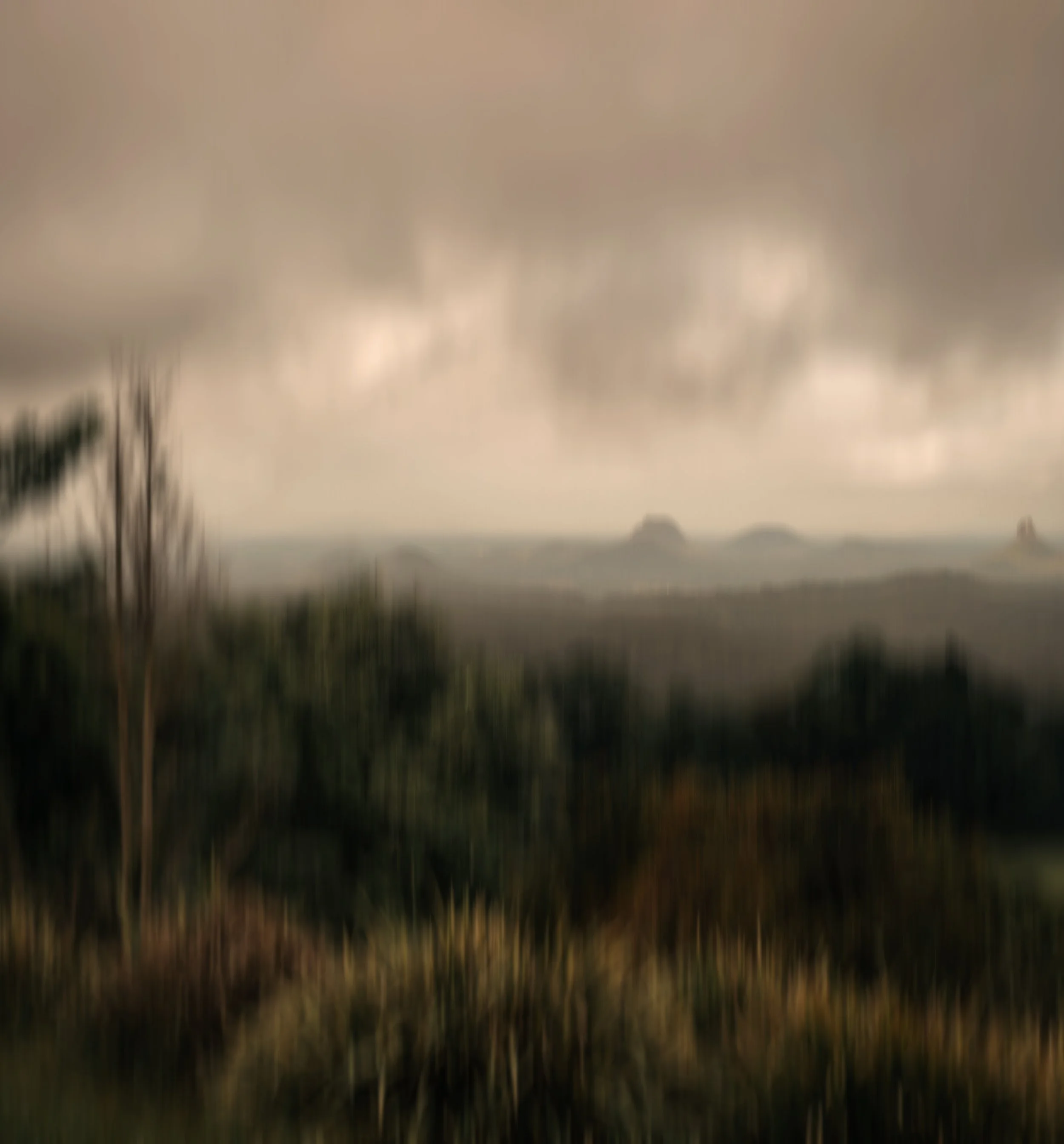 GLASSHOUSE - art by VIKKI CALVERT