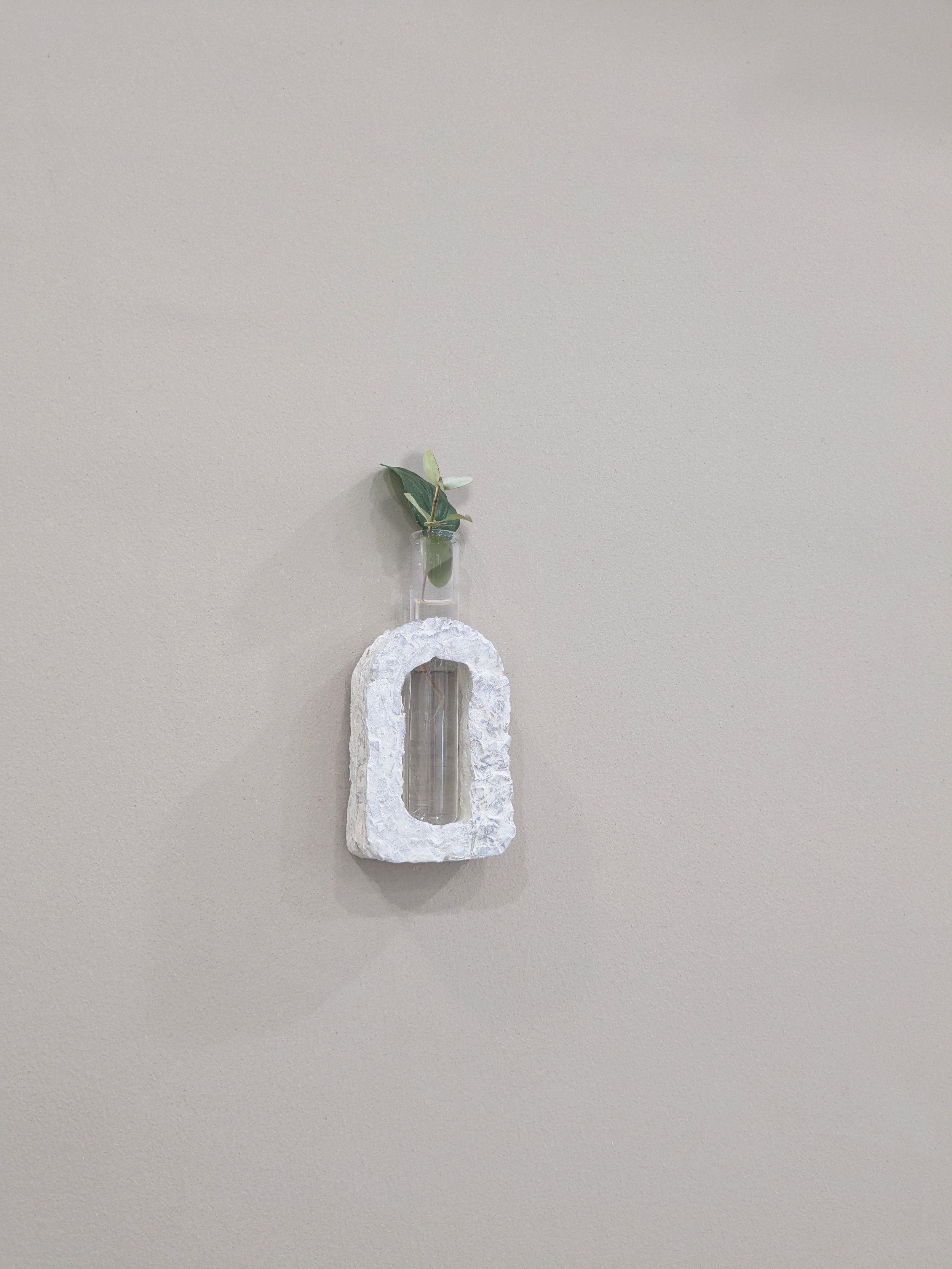 Plant Propagation Vase
