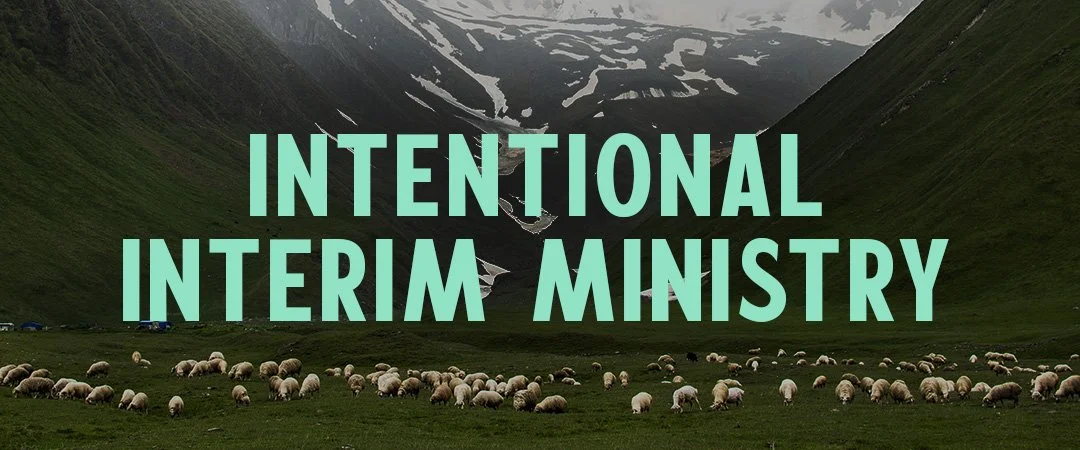 INTERIM MINISTRY.jpg