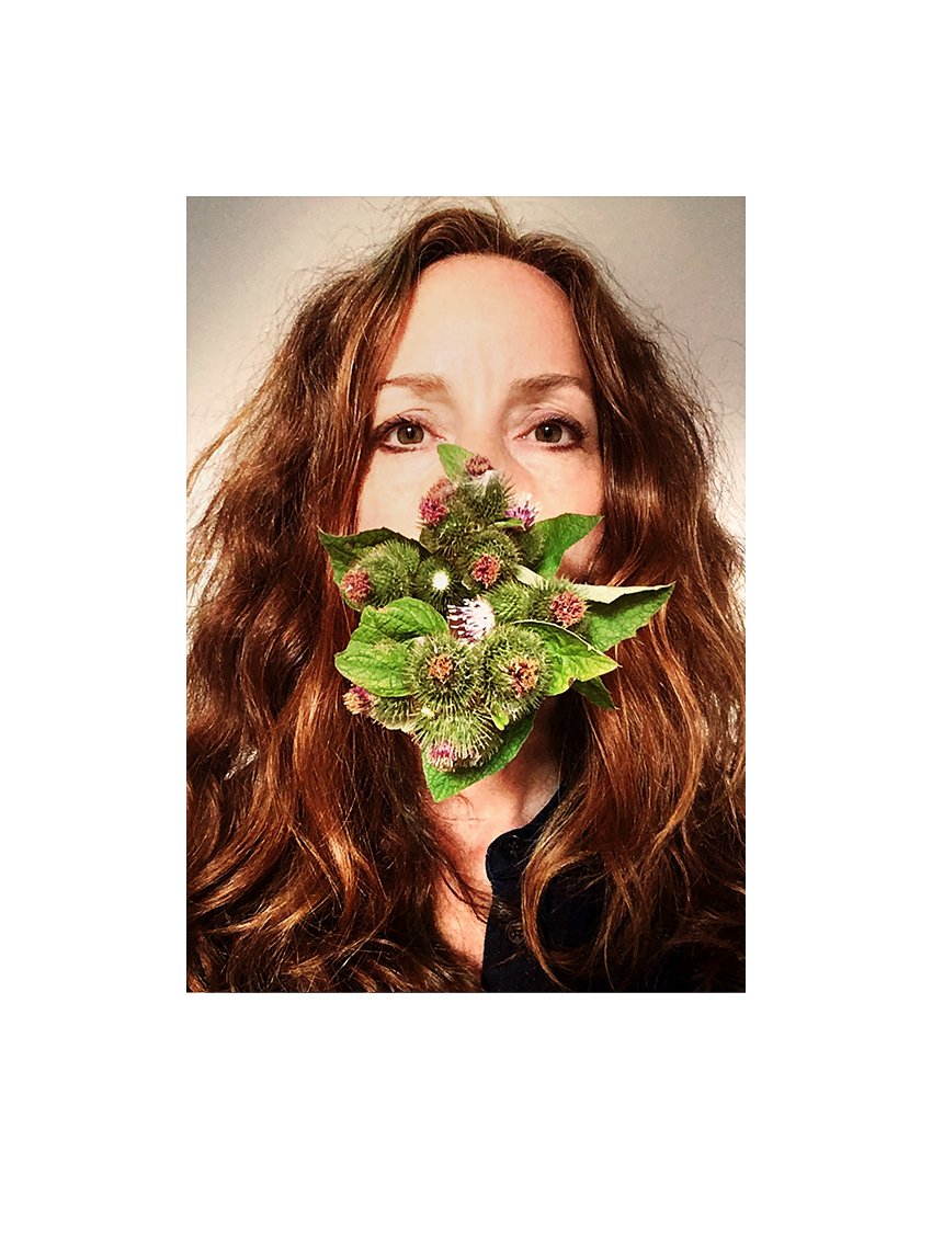 _A3_BURDOCK.jpg