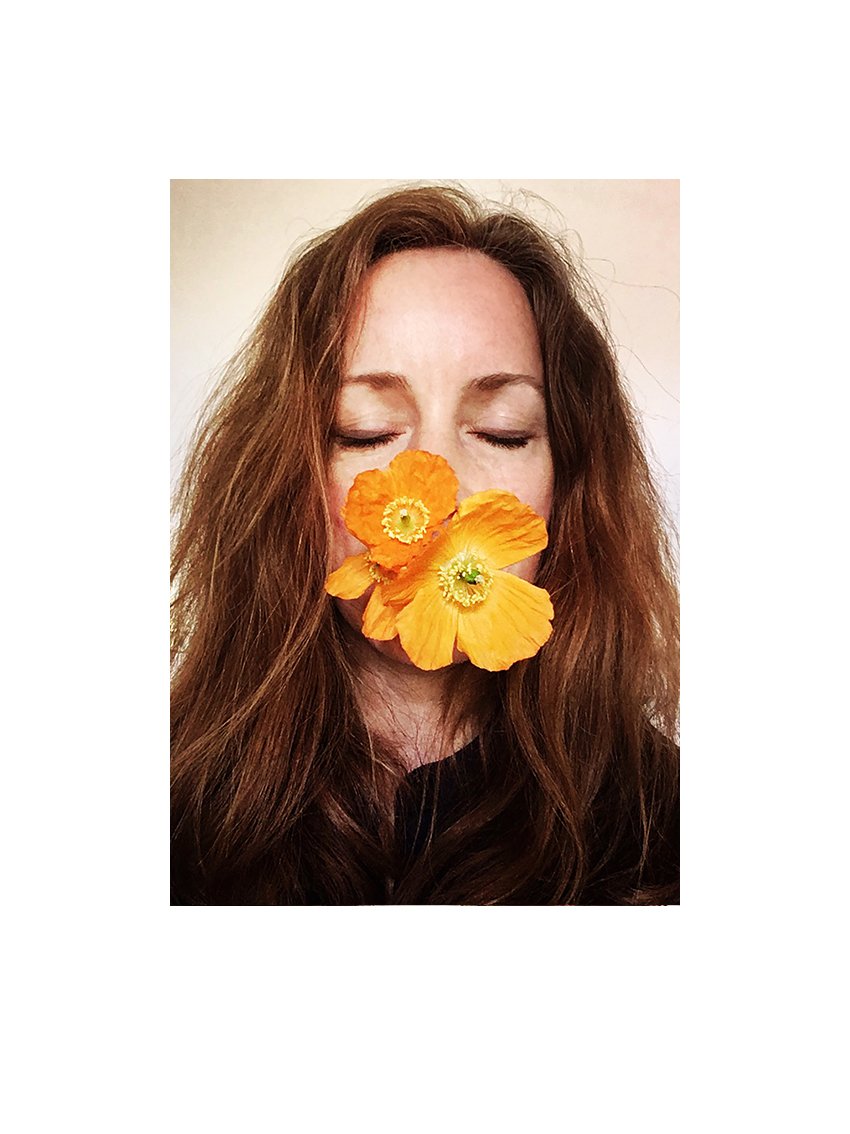 _A3_WELSH POPPY.jpg