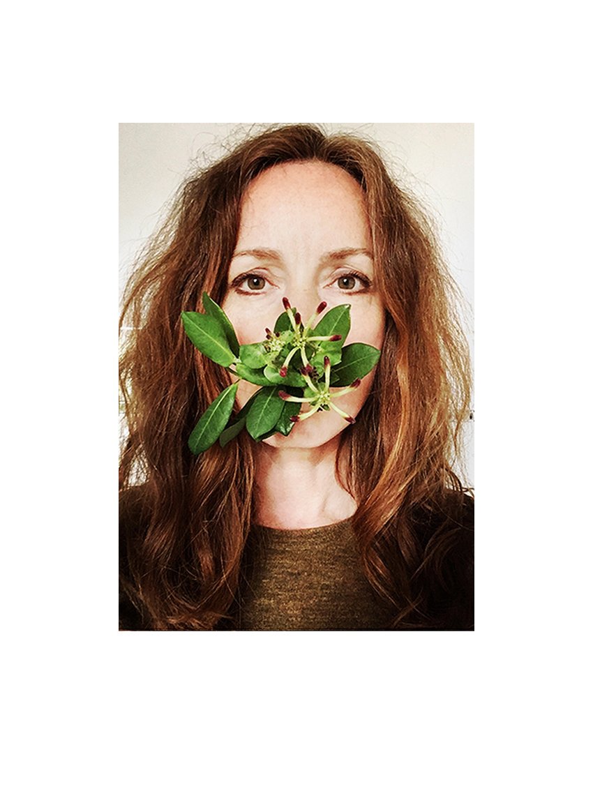 _A3_HONEYSUCKLE_newcrop.jpg