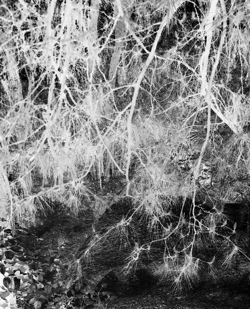 200_BATES_THEATER OF DREAMS_13.jpg