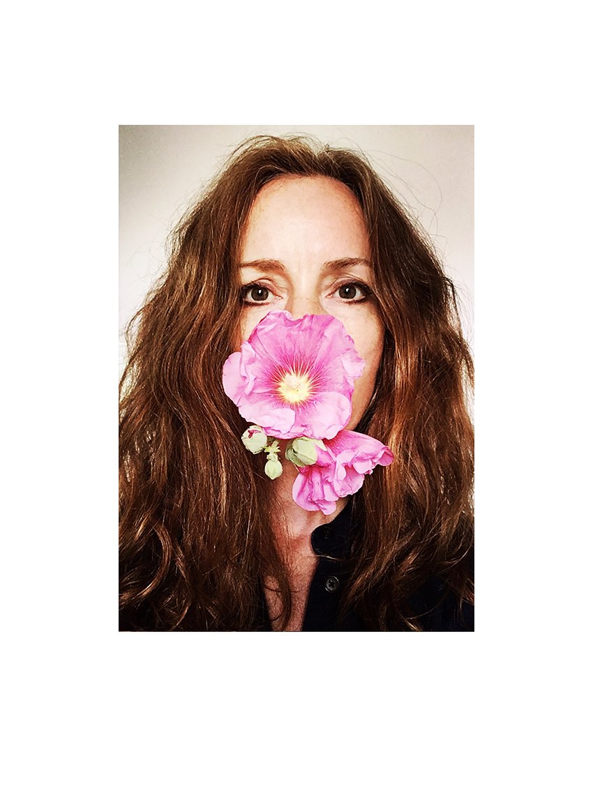 _A3_HOLLYHOCK.jpg