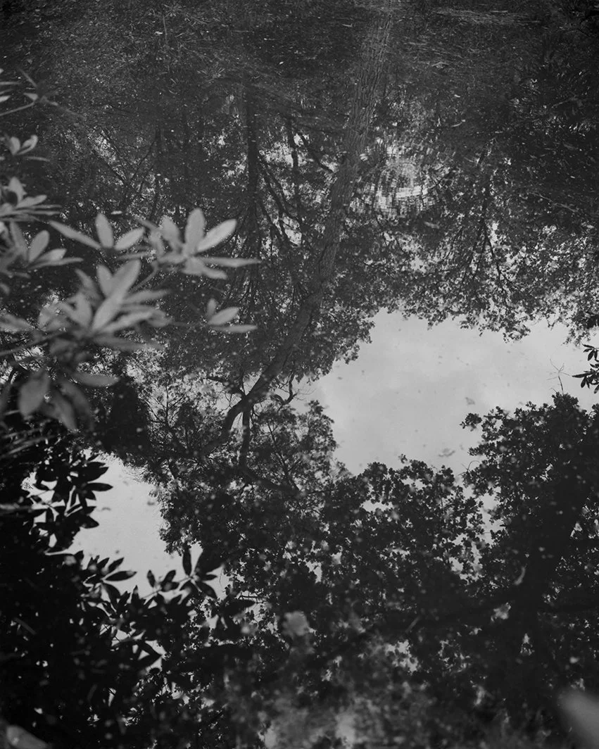 POND_5_1_7_16_EB 1064.jpg