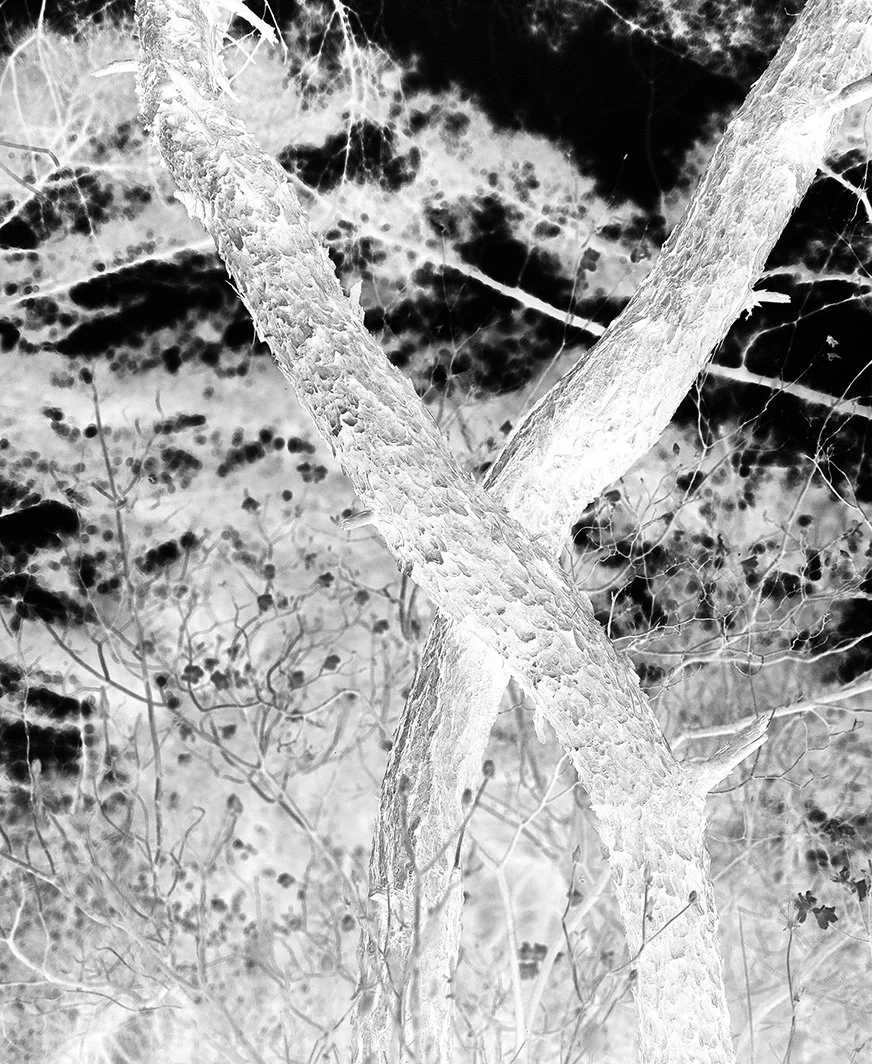 200_BATES_THEATER OF DREAMS_01.jpg