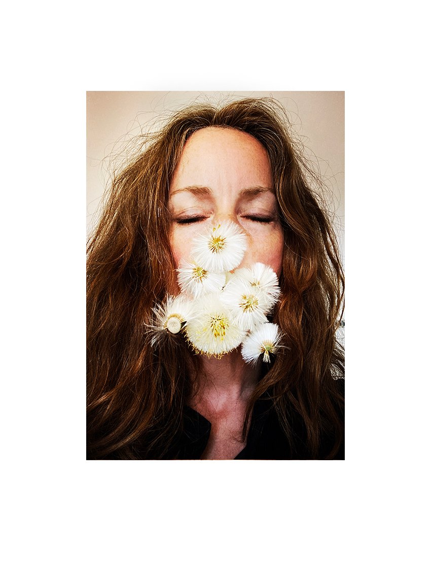 _A3_DANDELION_PUFF.jpg