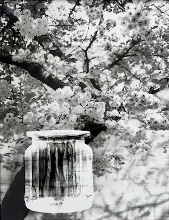 small vase I.jpg