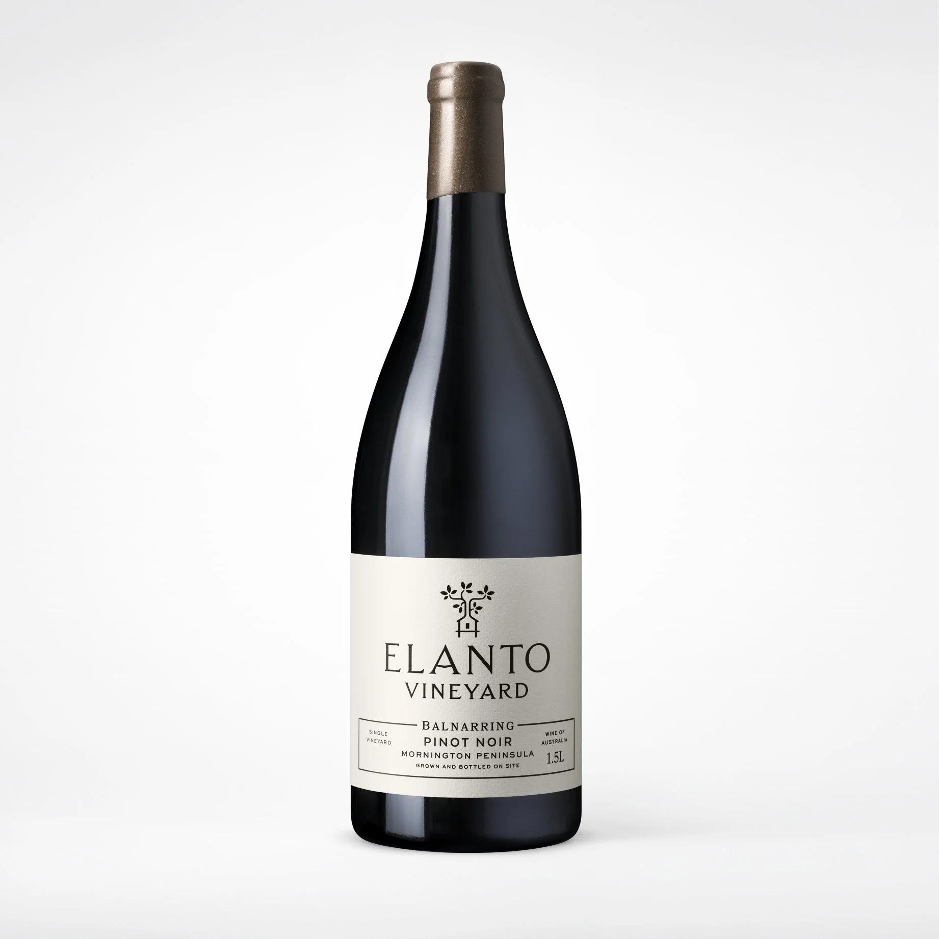 Magnum 2024 Elanto Vineyard Pinot Noir (1.5L)