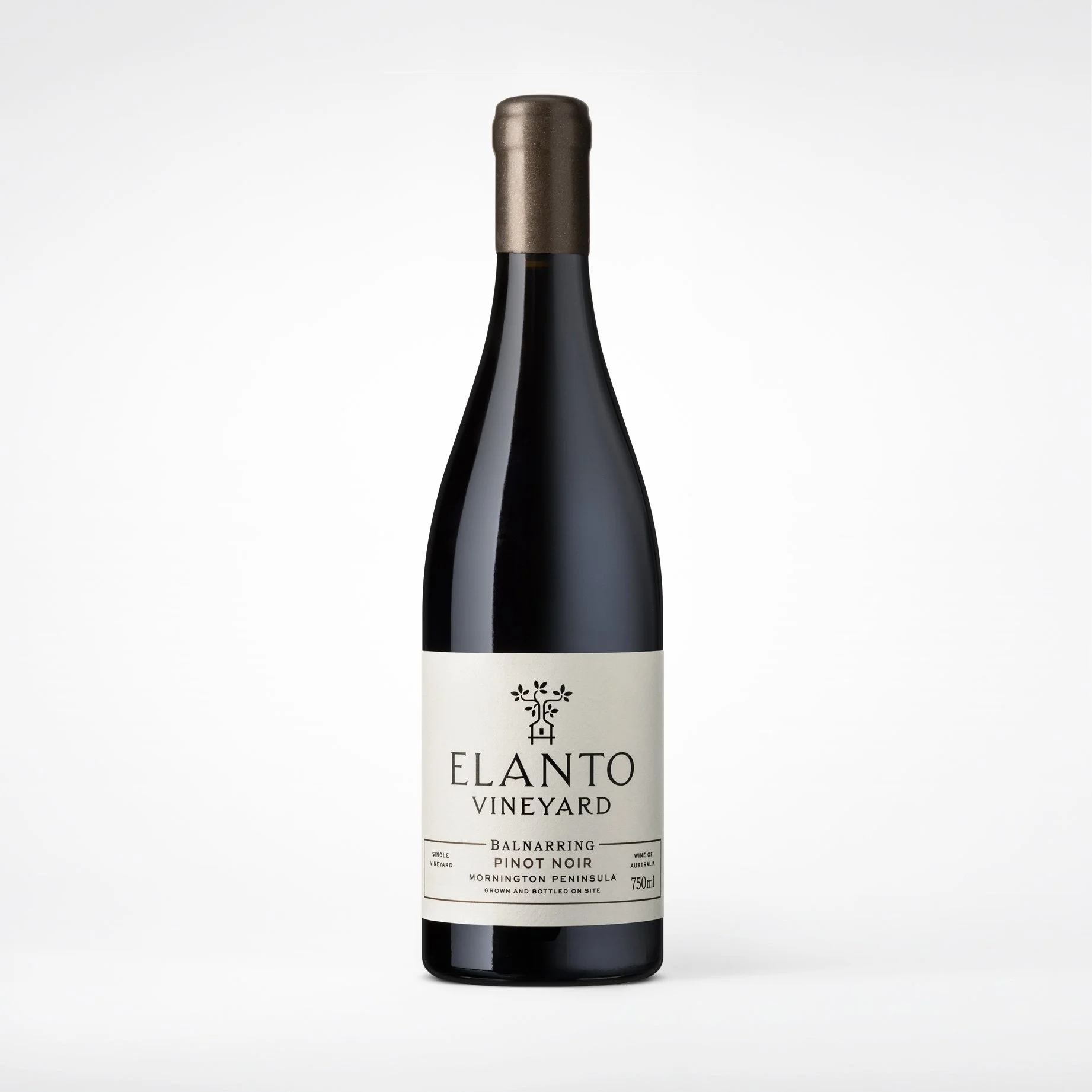 ElantoVineyard_PinotNoir.jpg