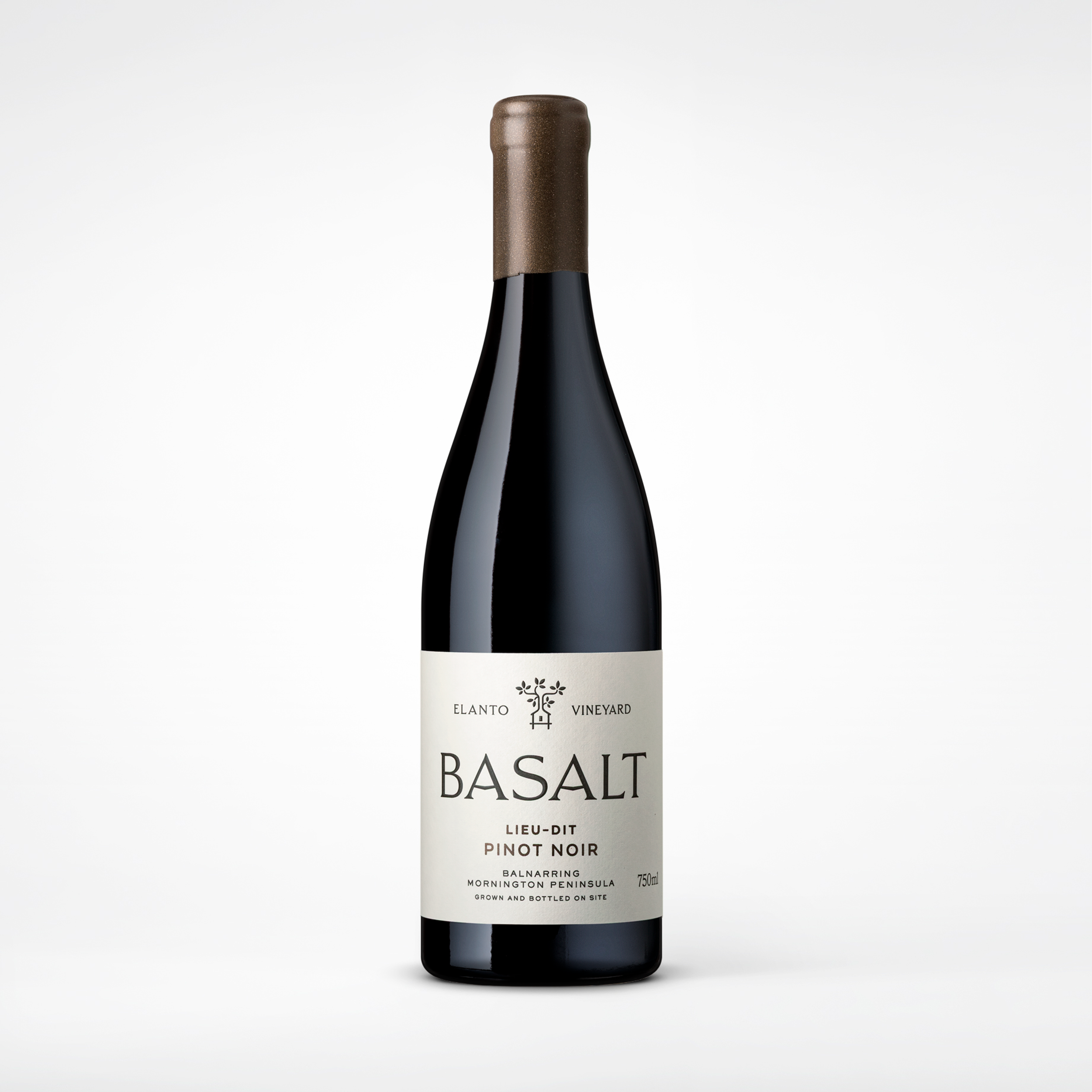 2024 Basalt.png