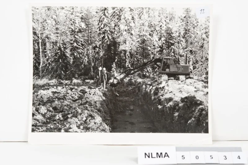 Grøfting i skogmark