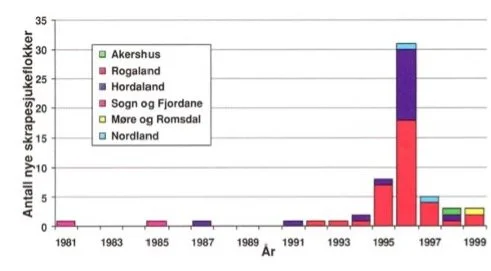 Antall nye påviste sauflokker med scrapie fra 1981 til 1999. Norsk veterinærtidsskrift teamanummer skrapesyke 2000.