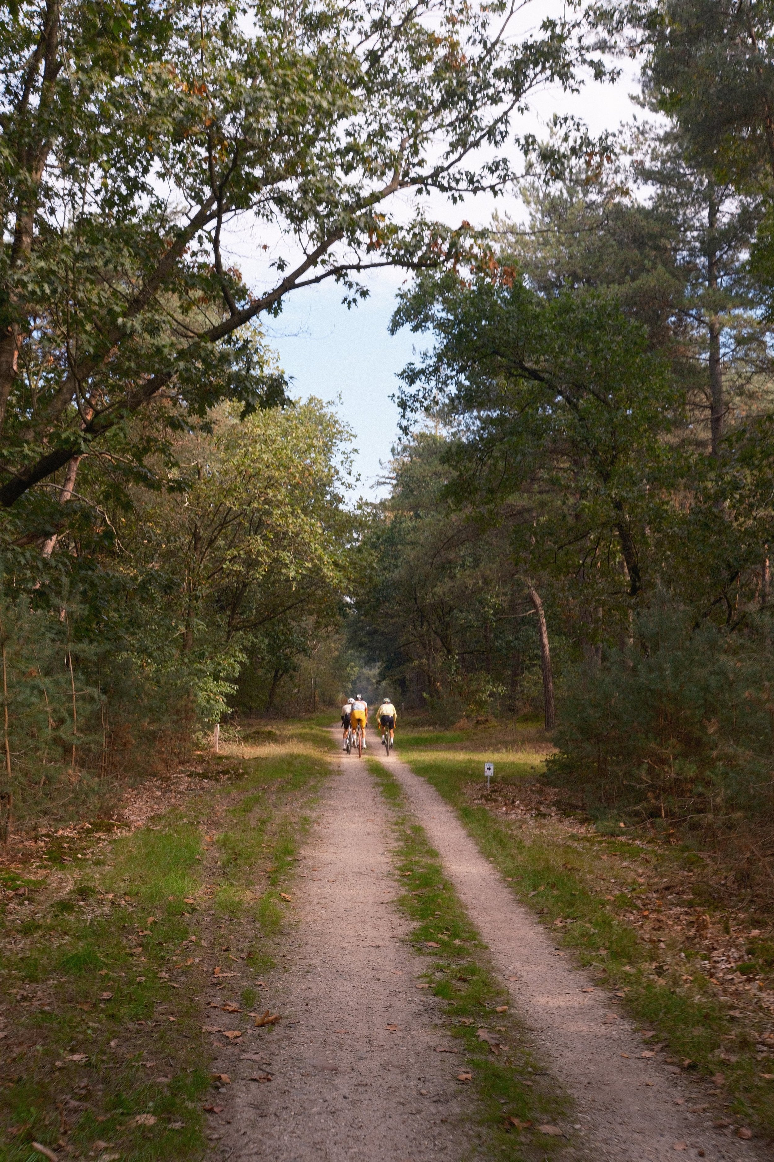 DSCF4637.jpg