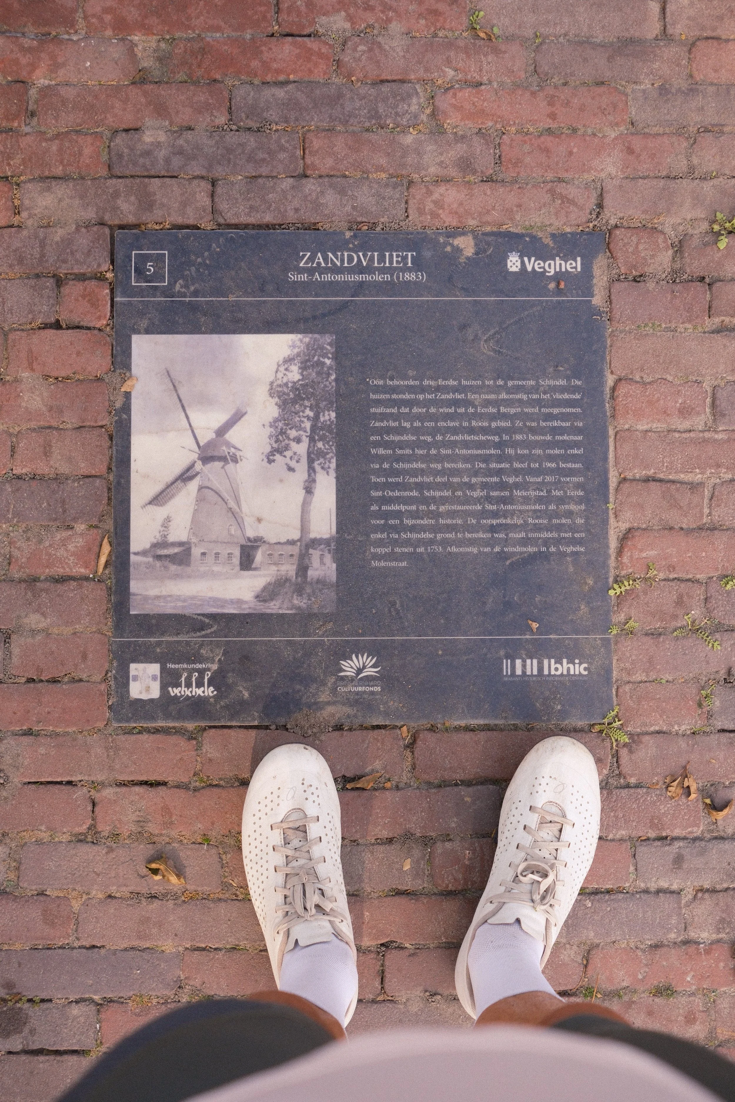 DSCF4879.jpg