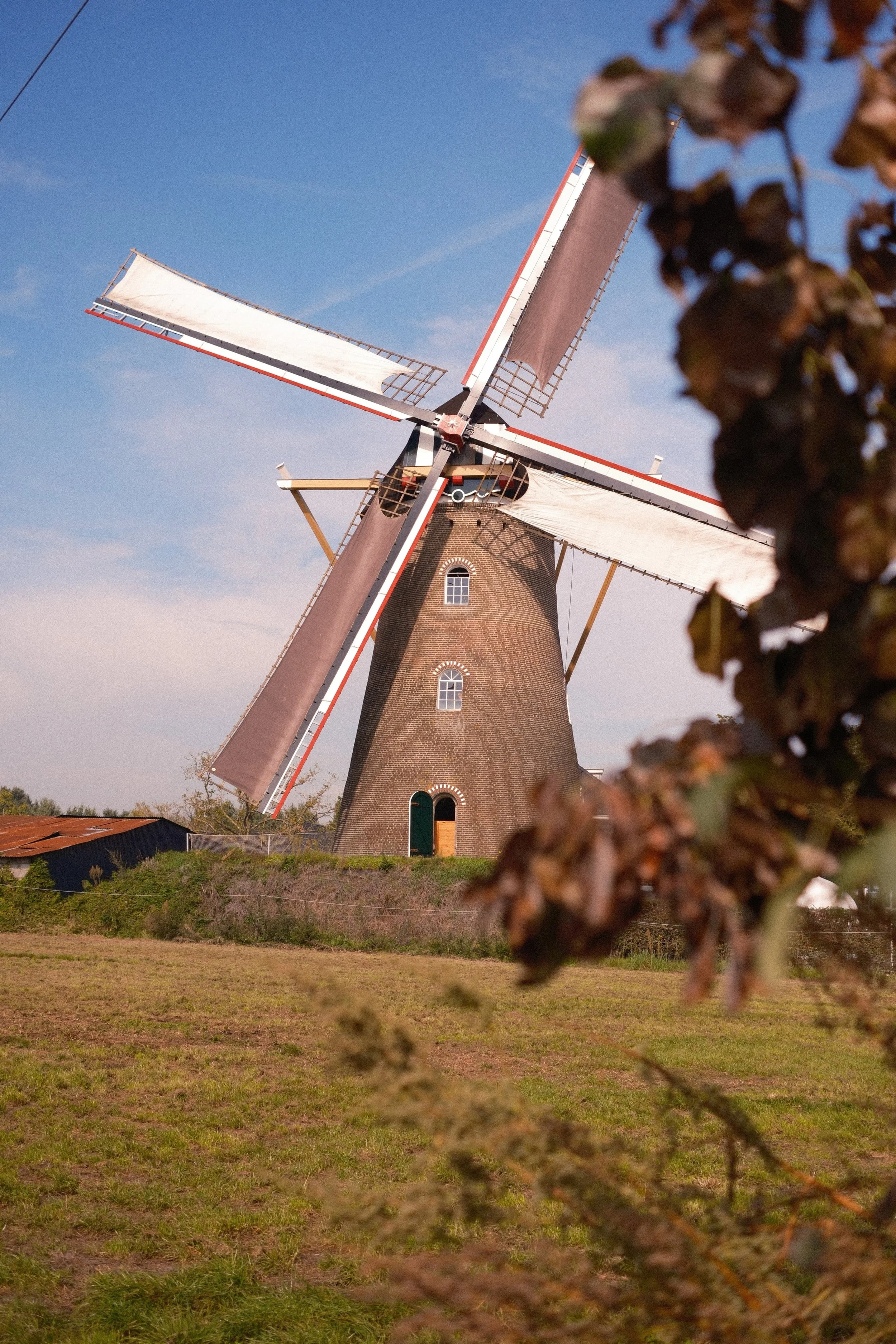DSCF4883.jpg