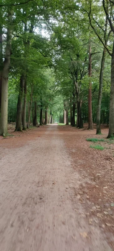 Ervaring Amber Middelhoek