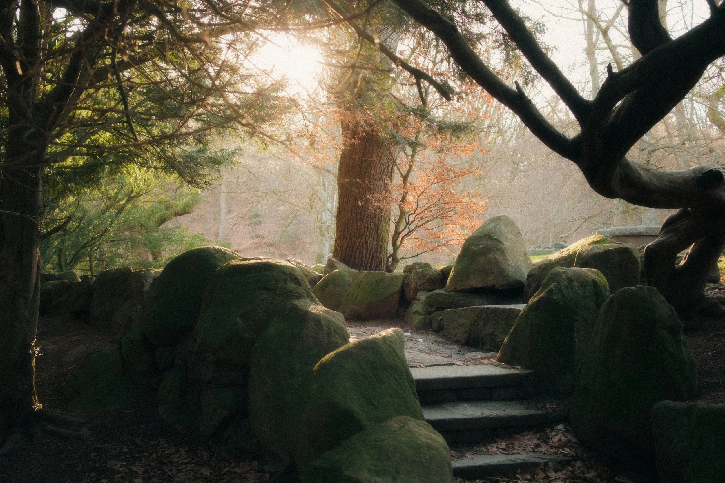 _DSF9101-Redigera HQ.jpg