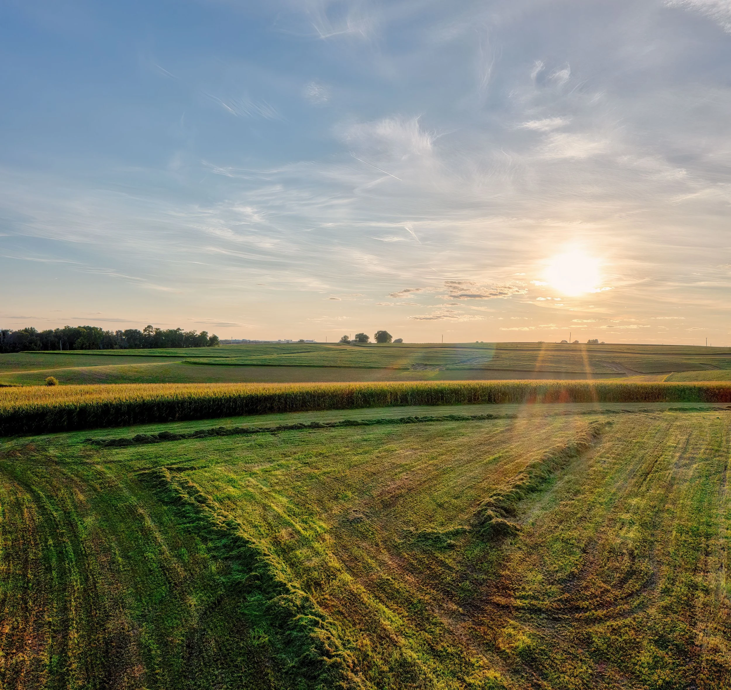 A Stable Land Market Is a Thinking Person's Market