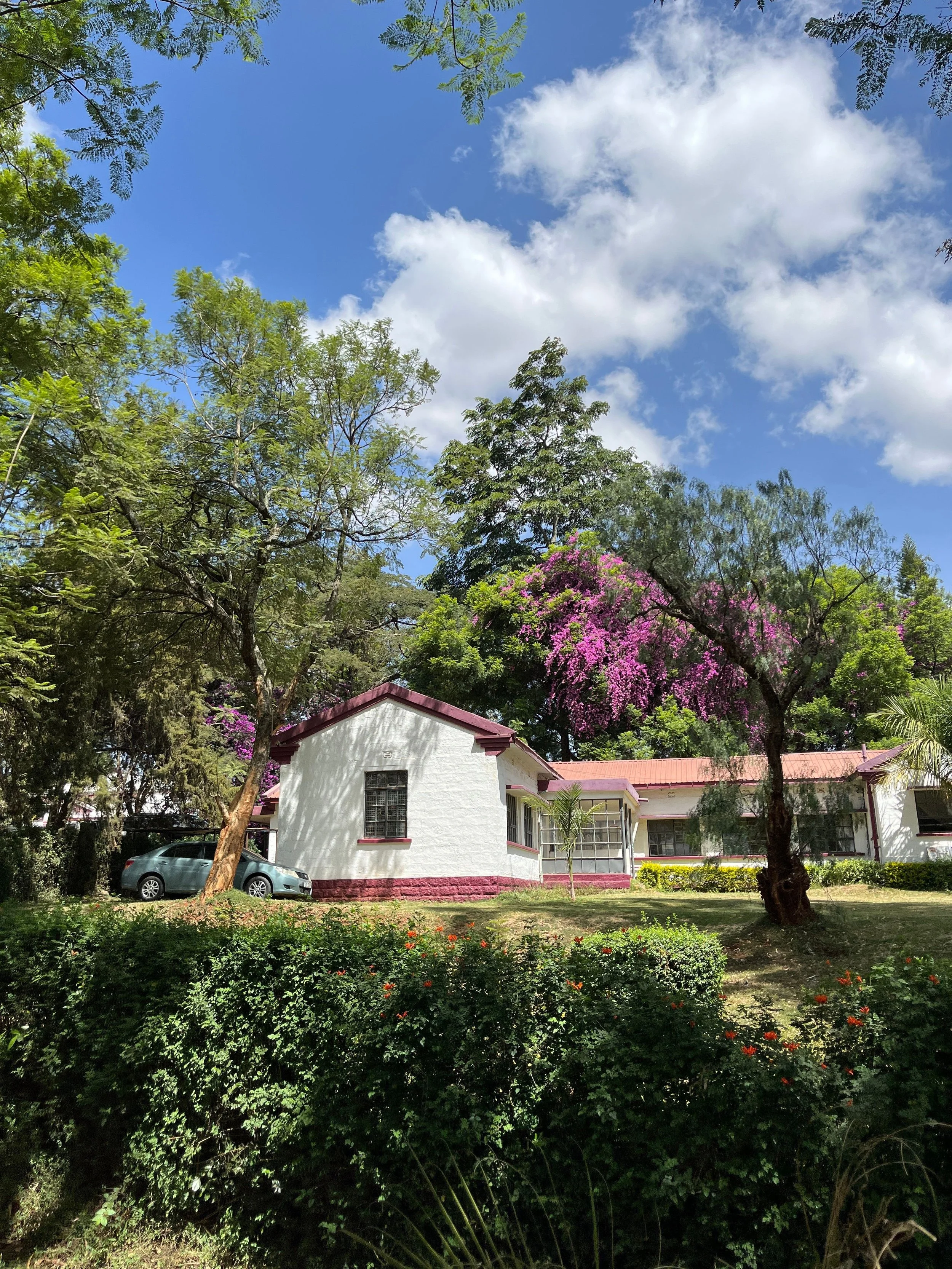 The Granny Flat Is Getting Legalized Everywhere. Here Is Why That Matters.
