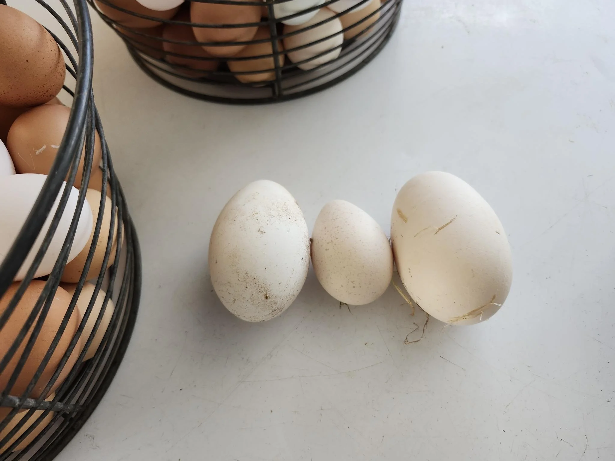 A basket of brown eggs and a row of white eggs on a white surface.