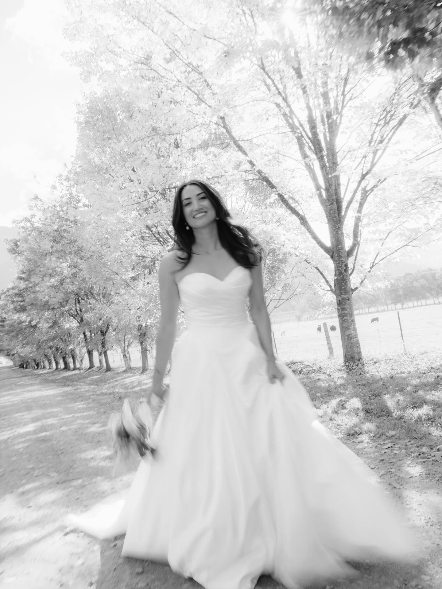 Part 1. Riyani ~ bouncy blow out 

Planner/coordinator @ccsweddingandeventplanning 
Venue @thebuckland 
Content creator @lovelensedit_ 
Photo @ellenmay.photography
Ceremony &amp; reception styling @enhance_styling 
Hair @hairkind.thesalon 
Furniture 