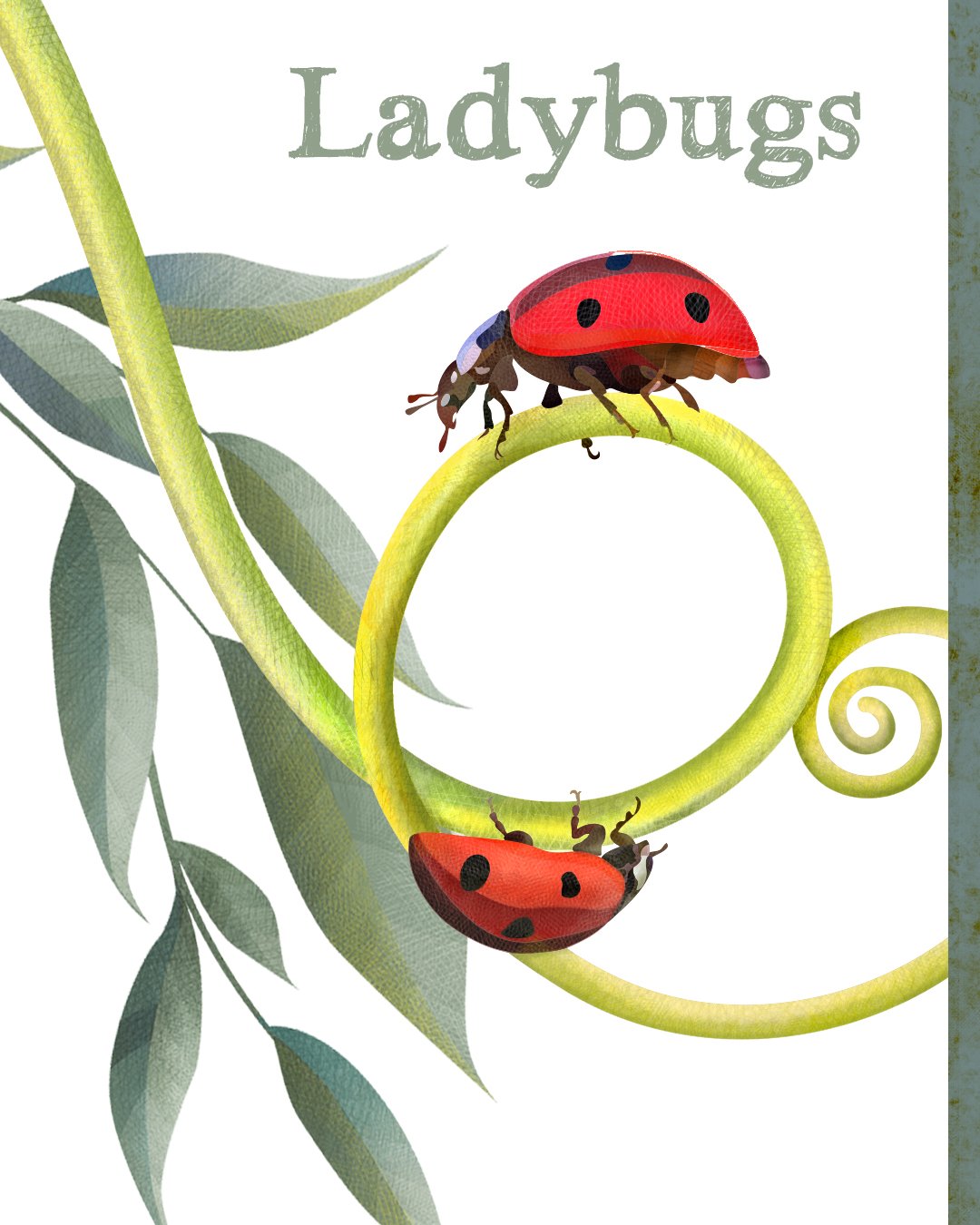 All Animals alone with their names 3.jpg