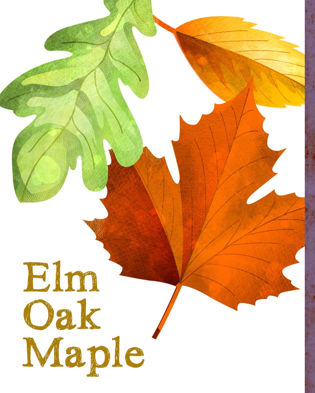 All Animals alone with their names 6.jpg