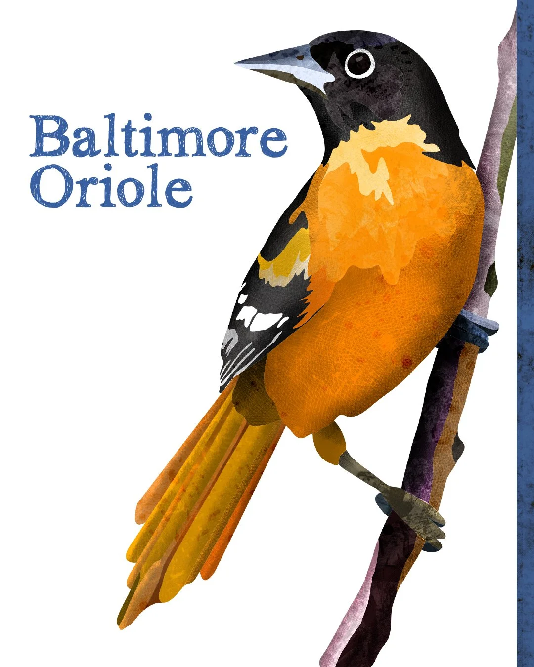 All Animals alone with their names 8.jpg