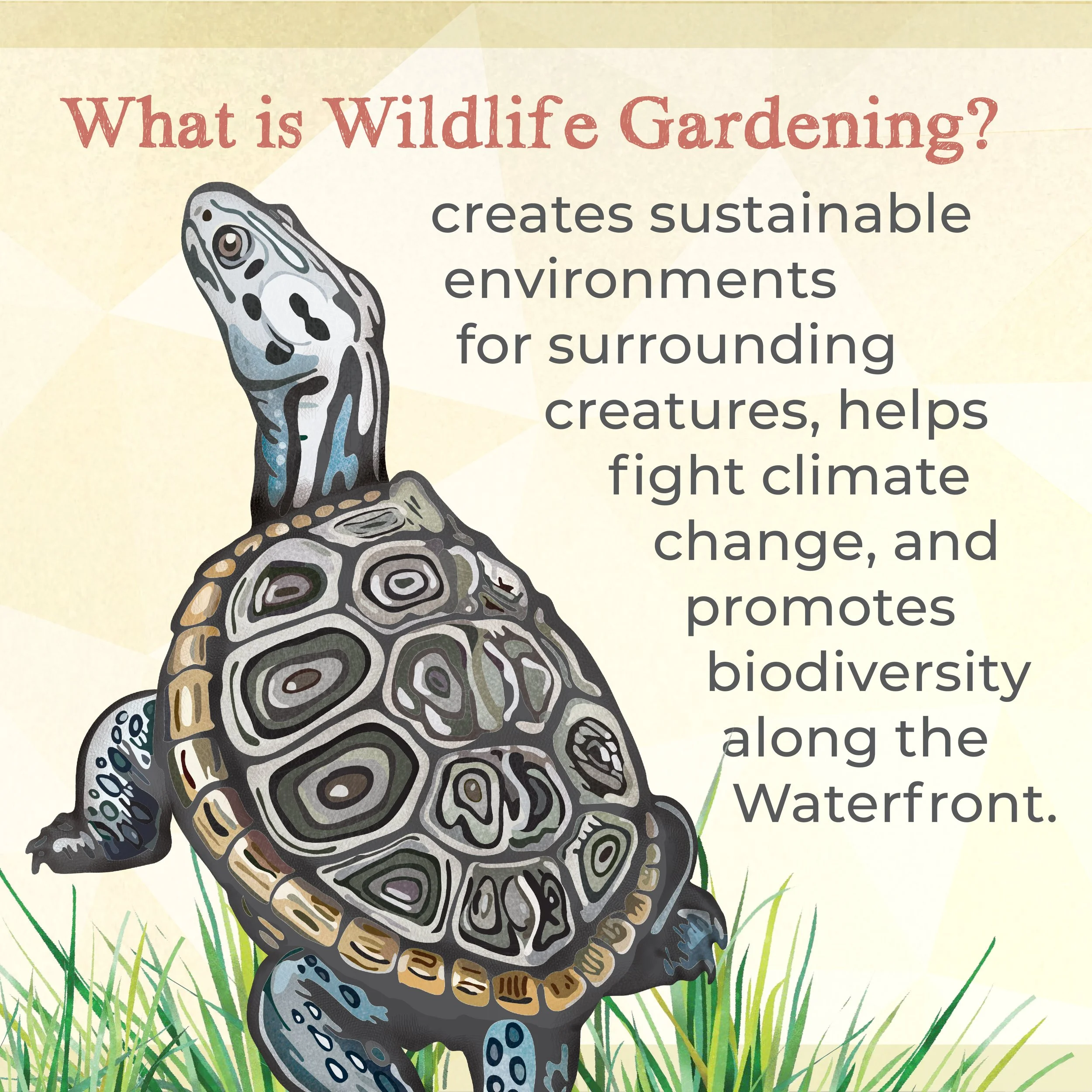 Workshop announcement post  2025_WLG workshop Announcement 2.jpg