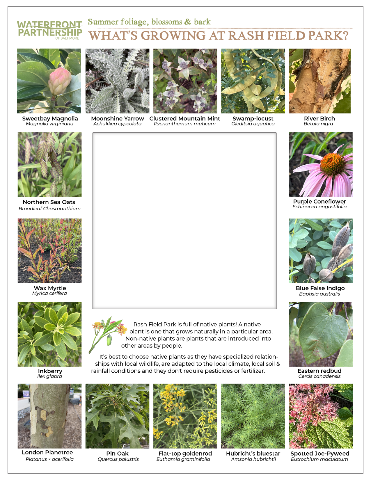 Print pieces in groups leaf identifier.png