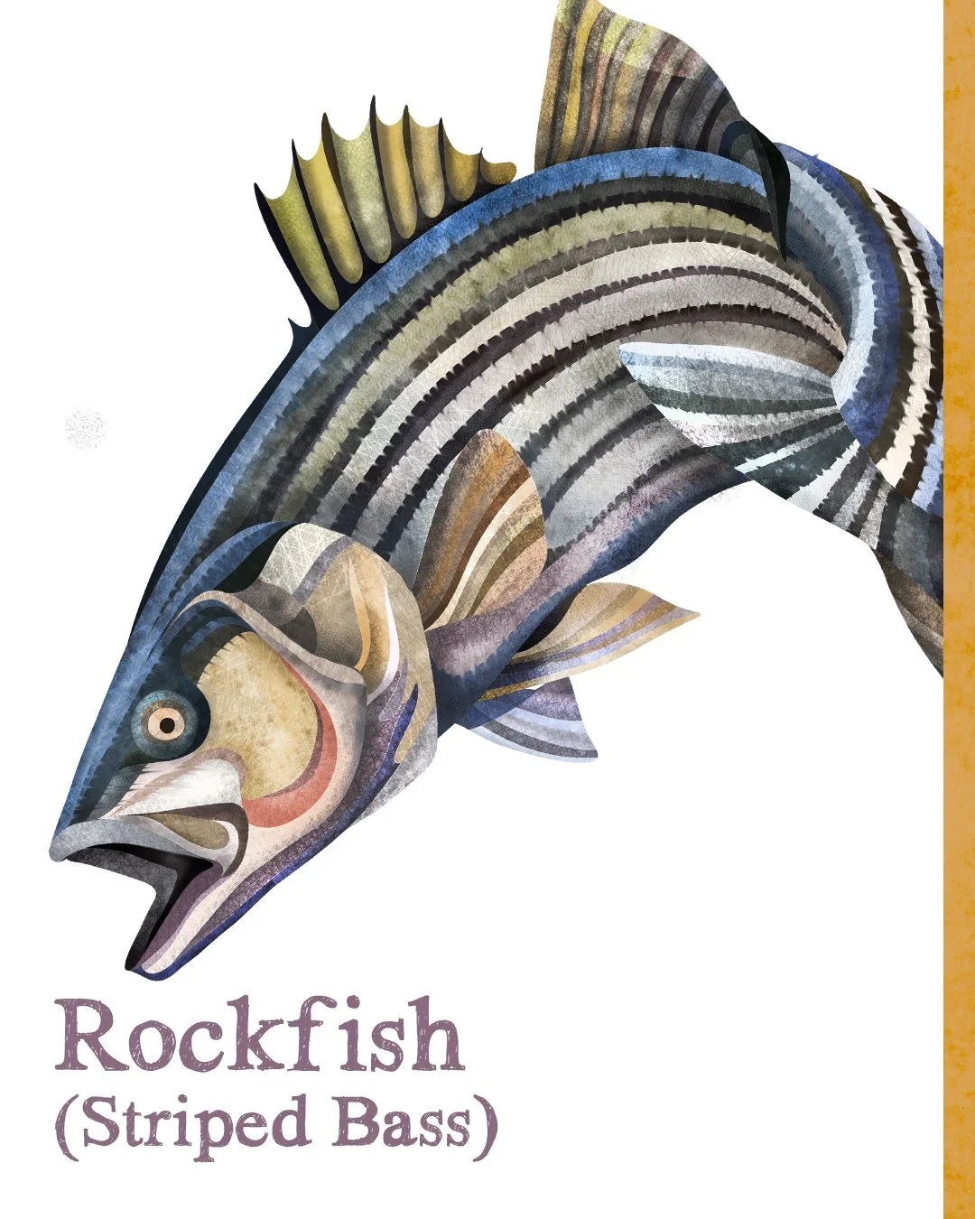 All Animals alone with their names 14.jpg